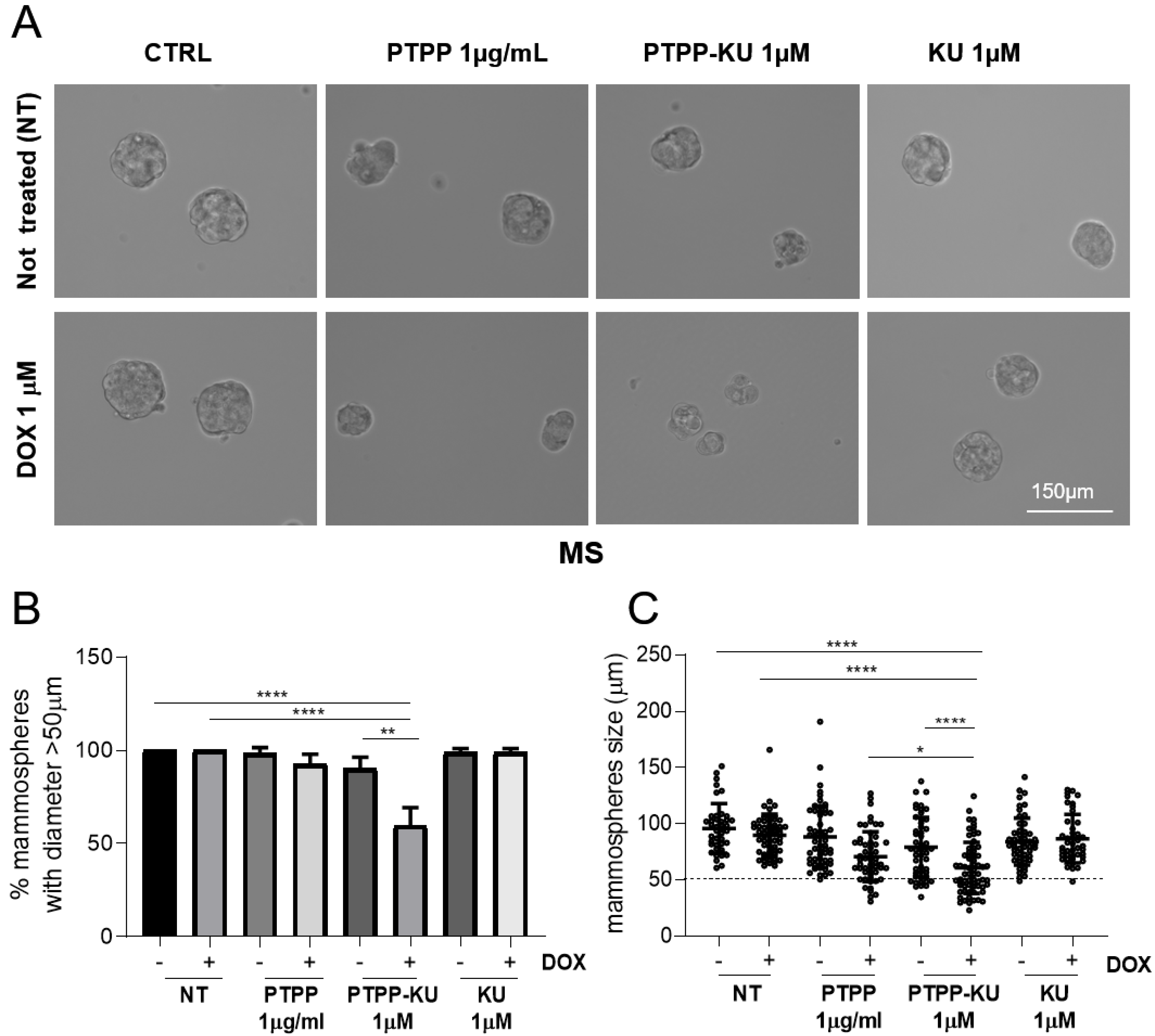 Cancers 15 01474 g002