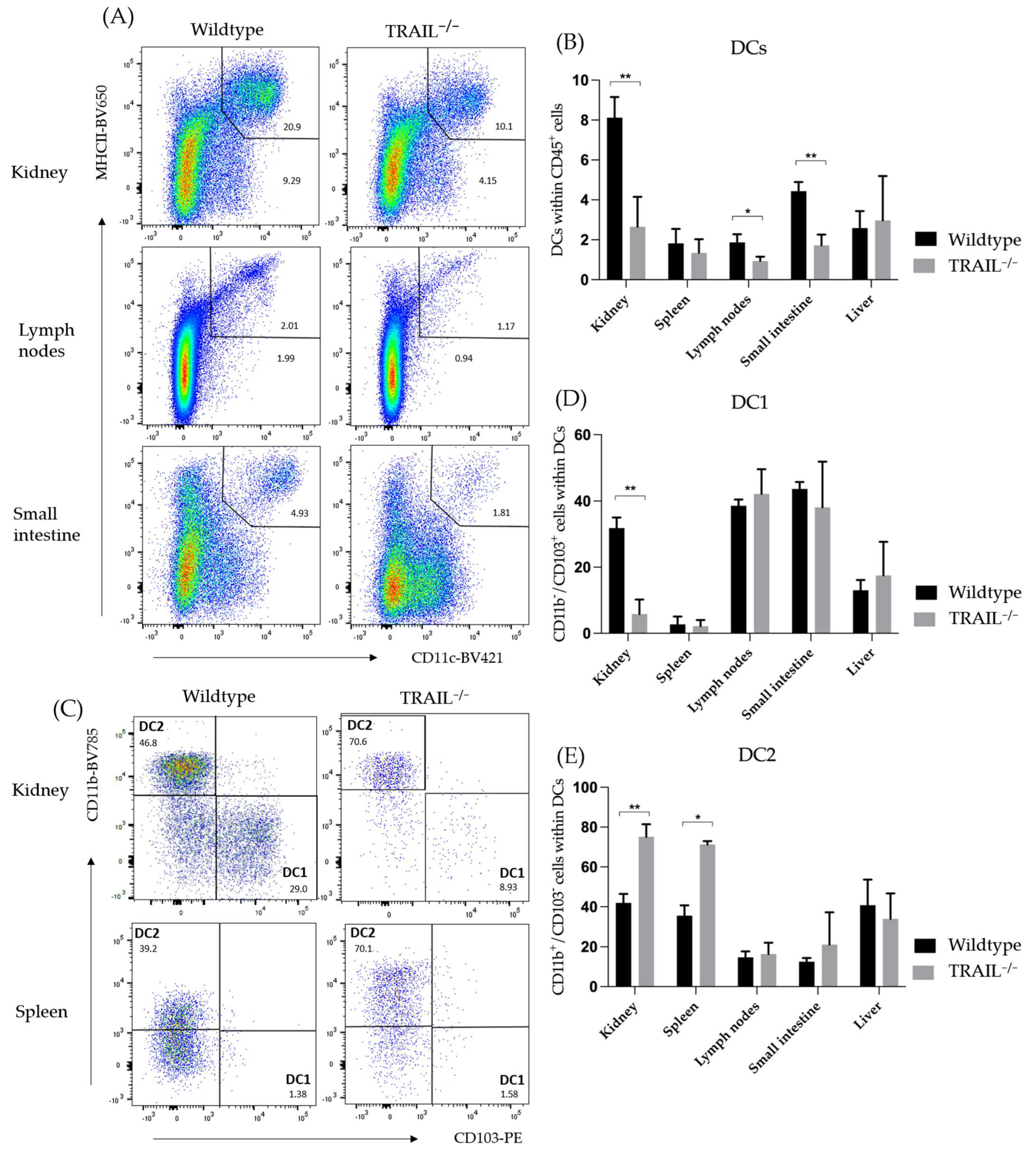 Cancers 15 01475 g001 Cancers 15 01475 g001