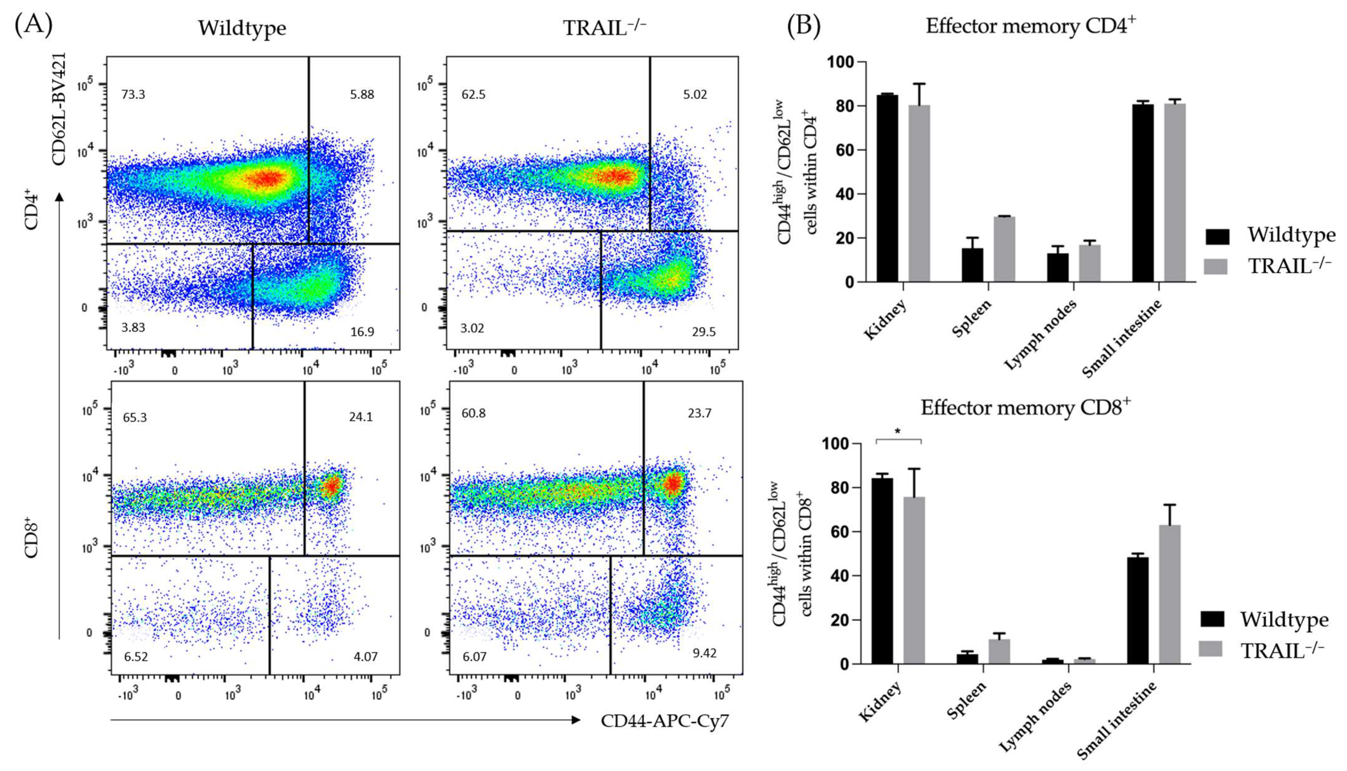 Cancers 15 01475 g007 Cancers 15 01475 g007