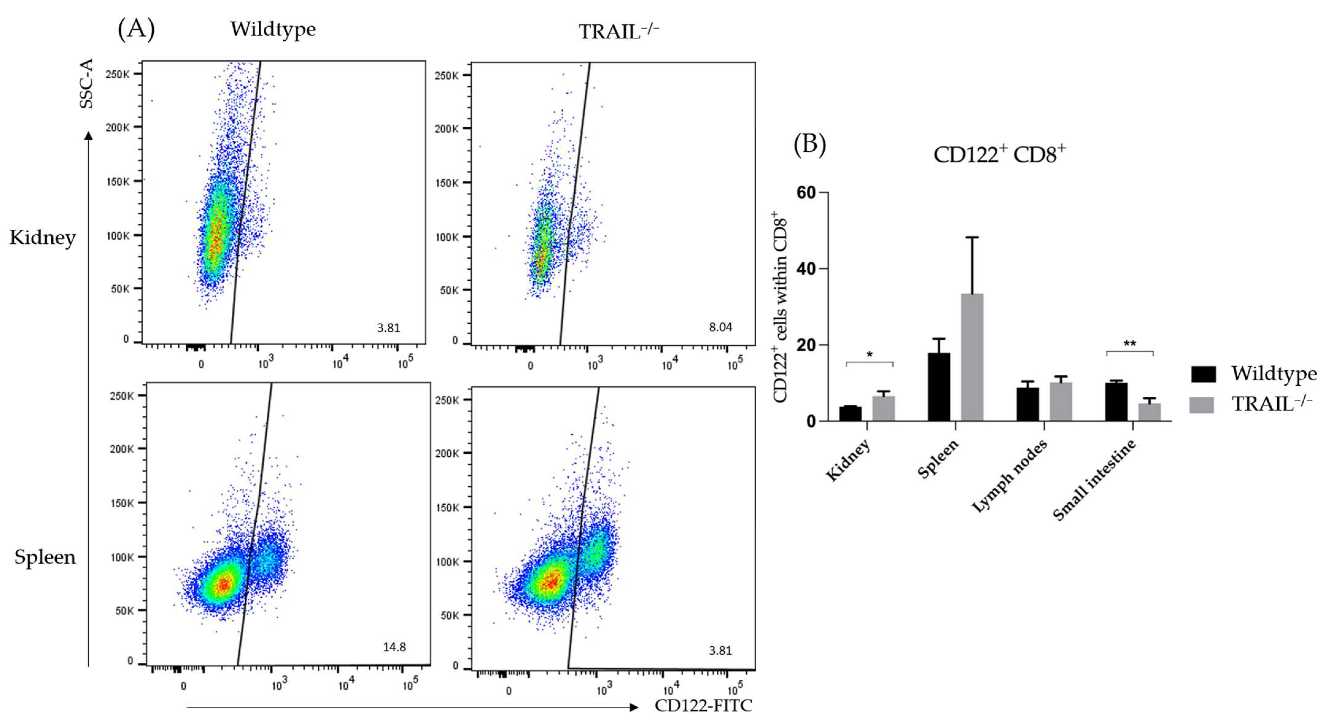 Cancers 15 01475 g009 Cancers 15 01475 g009