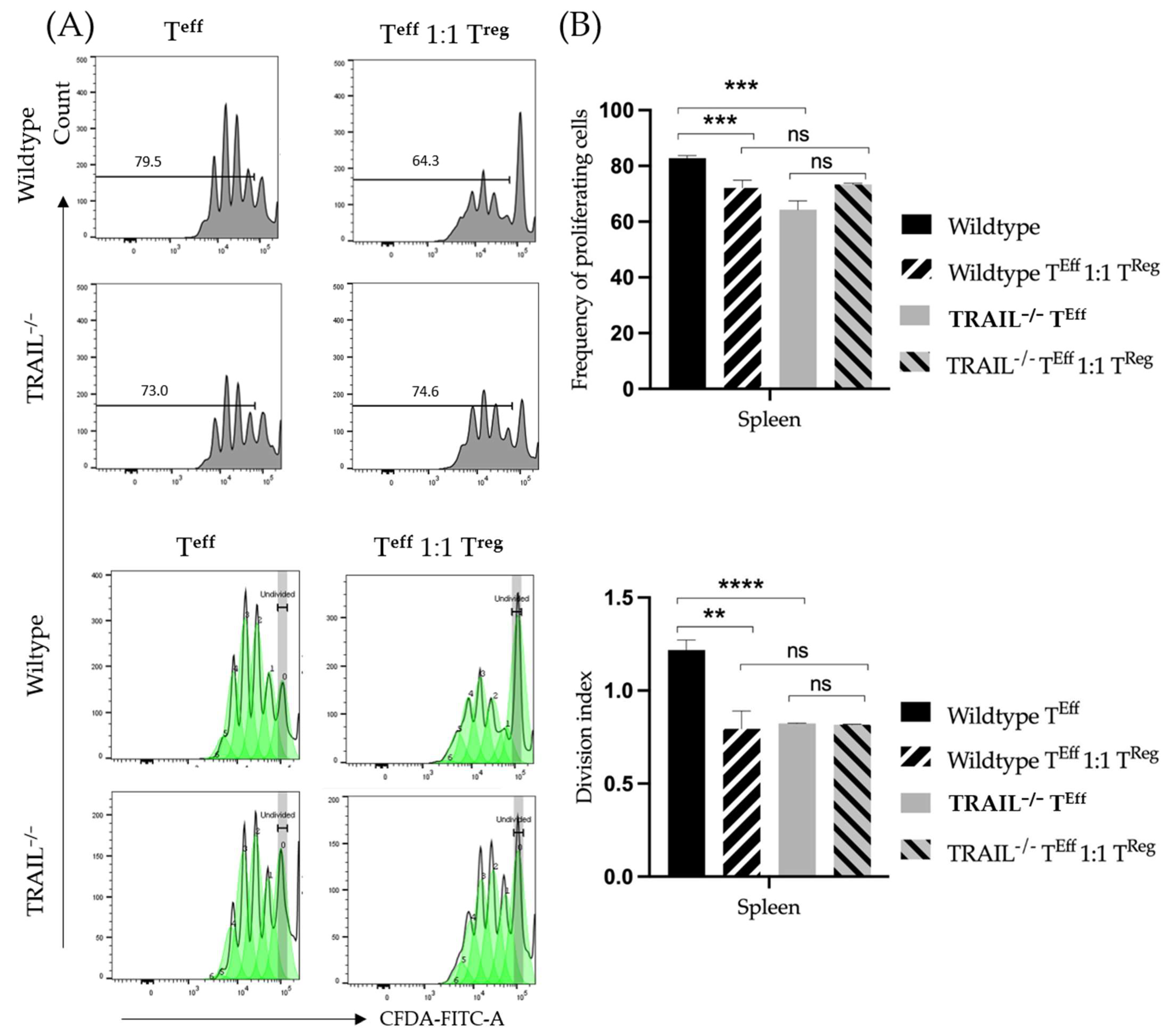 Cancers 15 01475 g012 Cancers 15 01475 g012