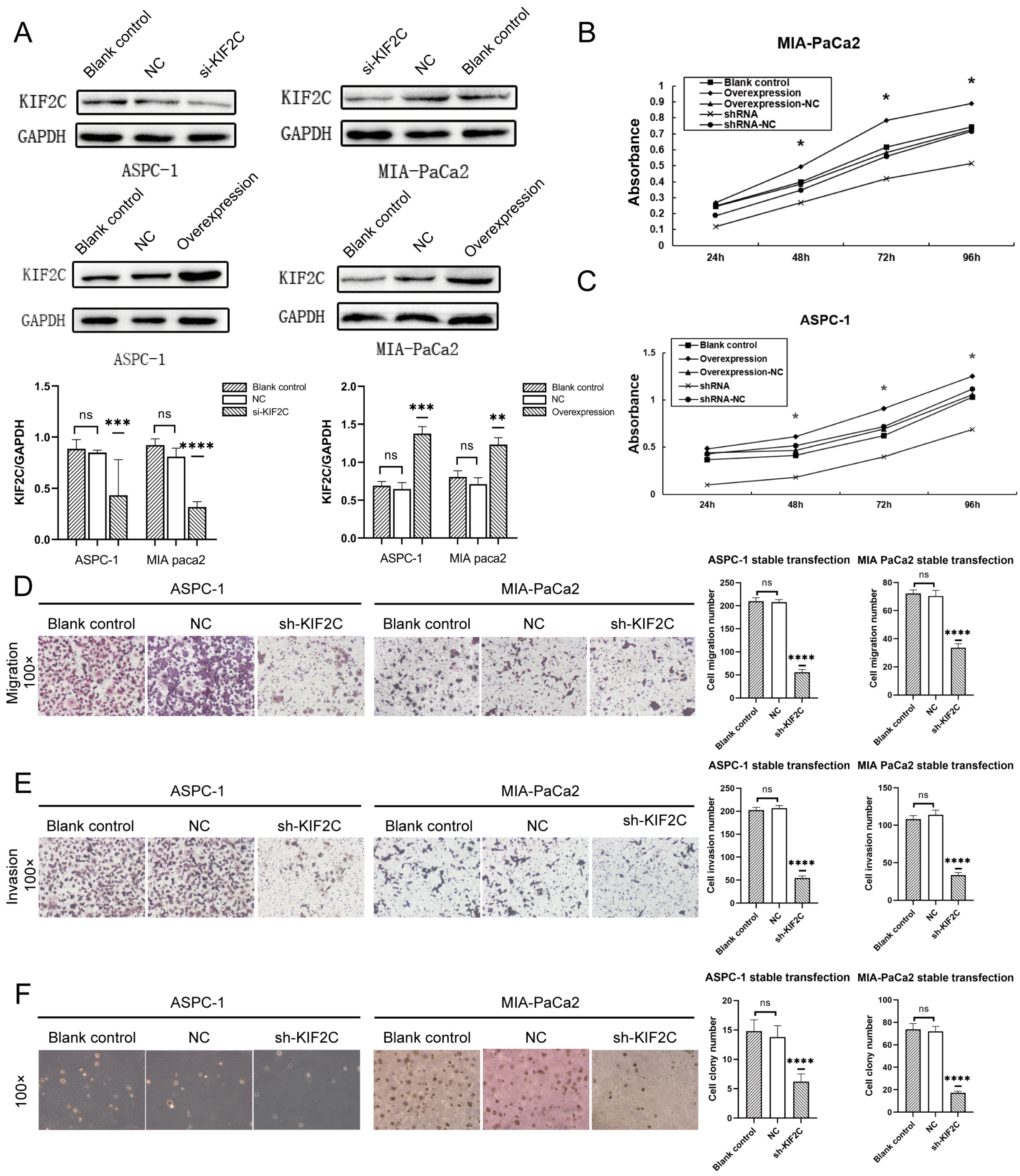 Cancers 15 01502 g003 Cancers 15 01502 g003