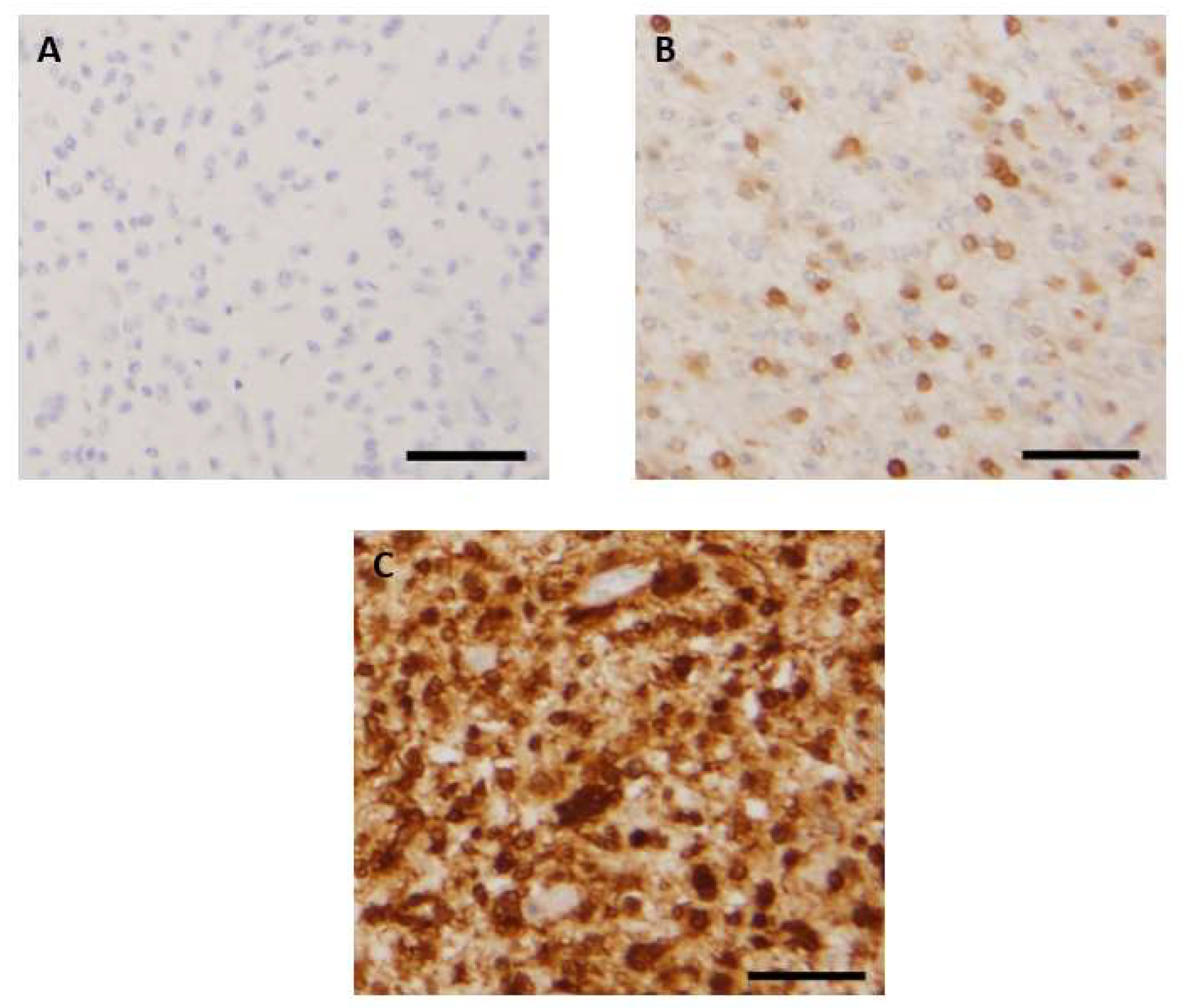 Cancers 15 01512 g001 Cancers 15 01512 g001