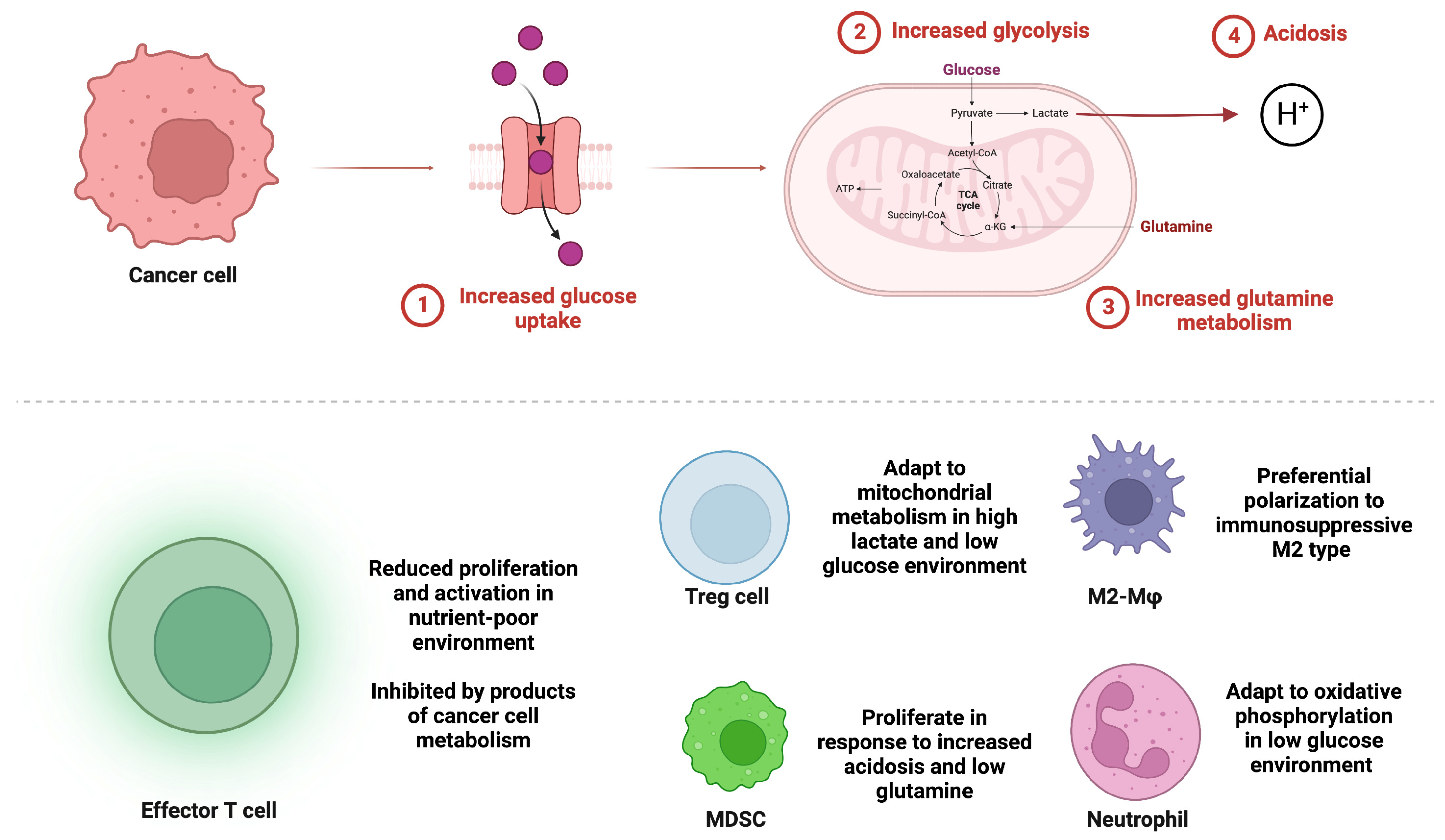 Cancers 15 01519 g001 Cancers 15 01519 g001