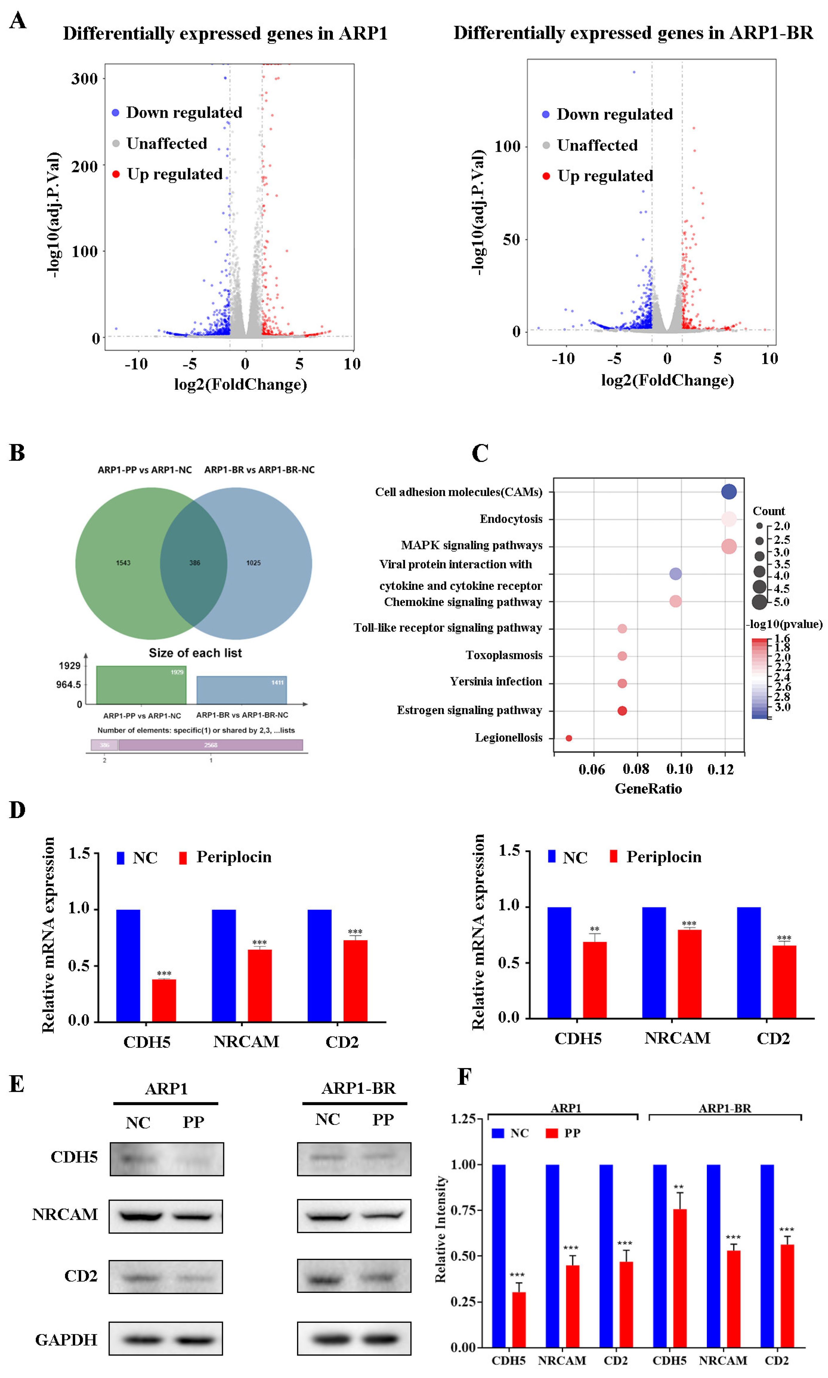 Cancers 15 01526 g004