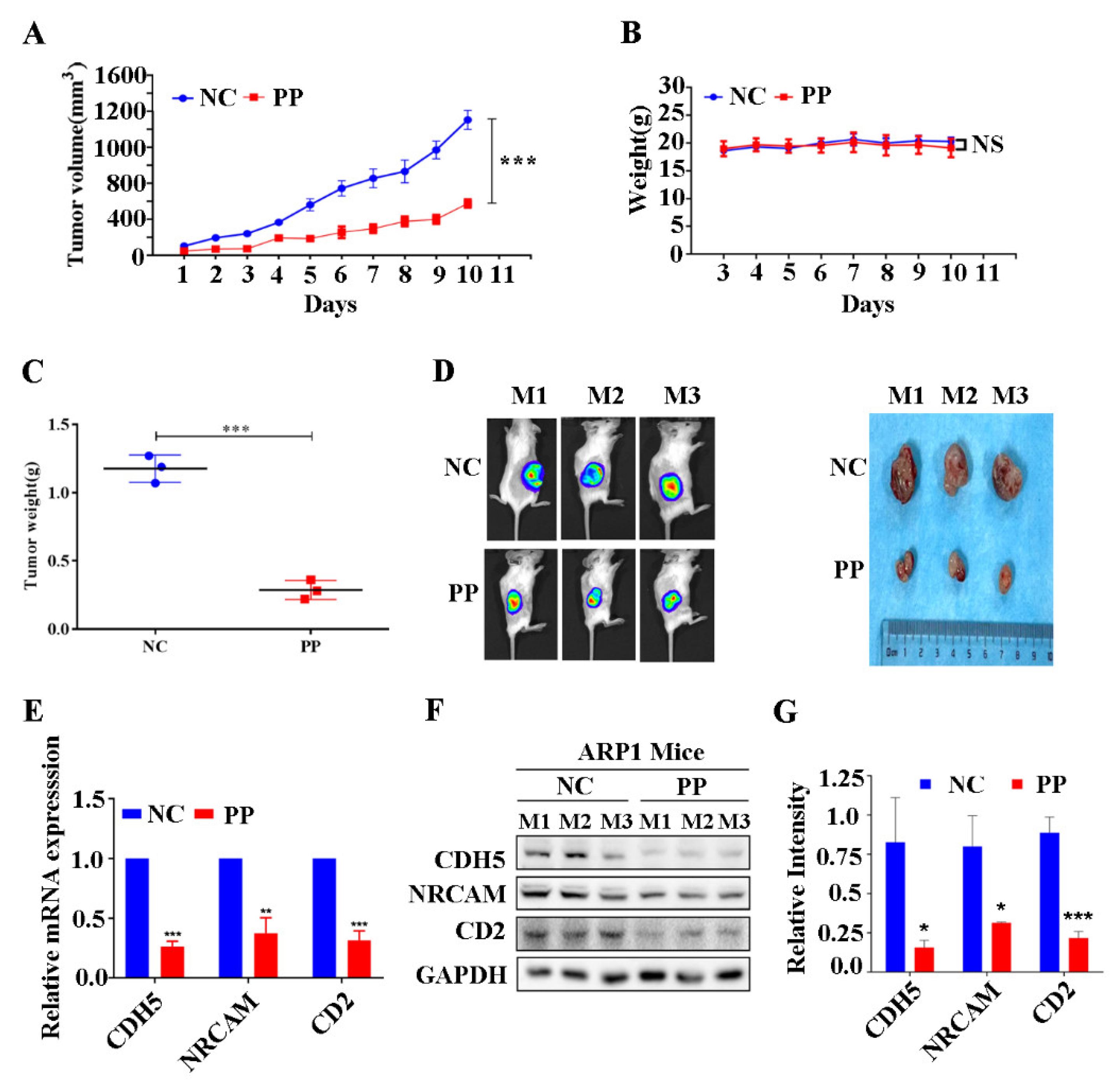 Cancers 15 01526 g005