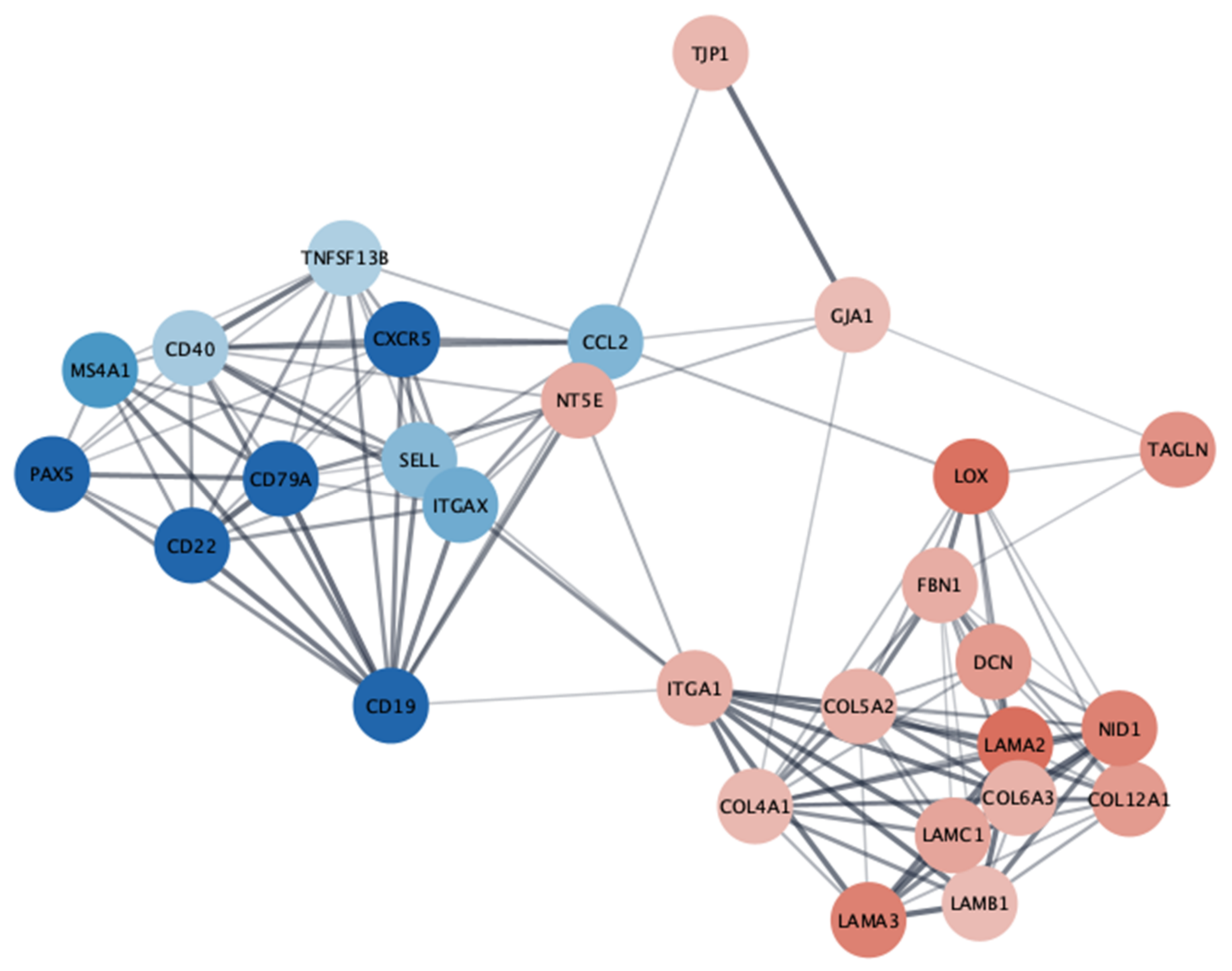 Cancers 15 01527 g007