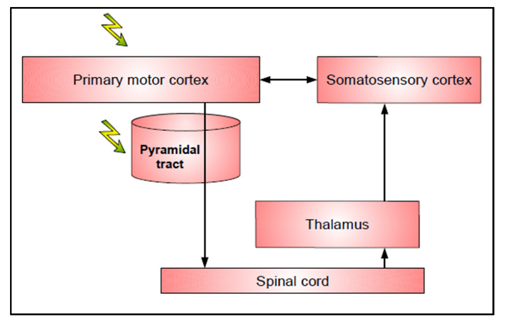 Cancers 15 01528 g001 Cancers 15 01528 g001