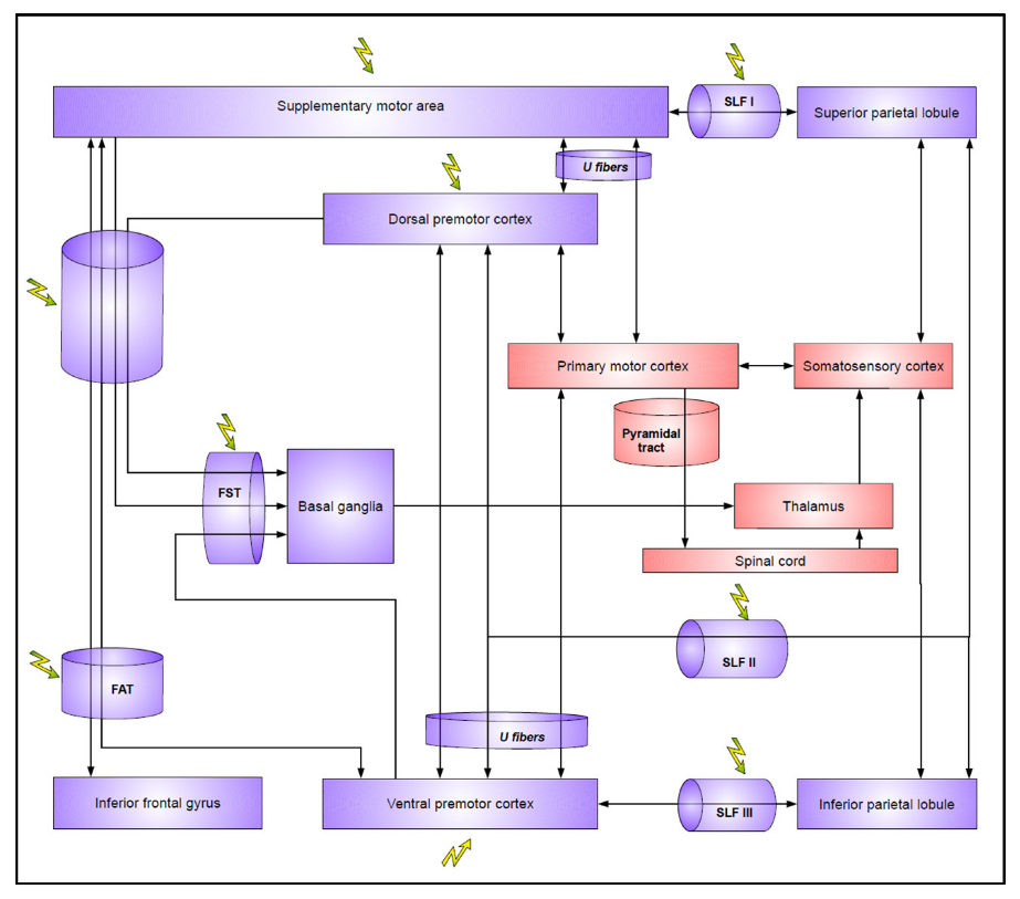 Cancers 15 01528 g002 Cancers 15 01528 g002