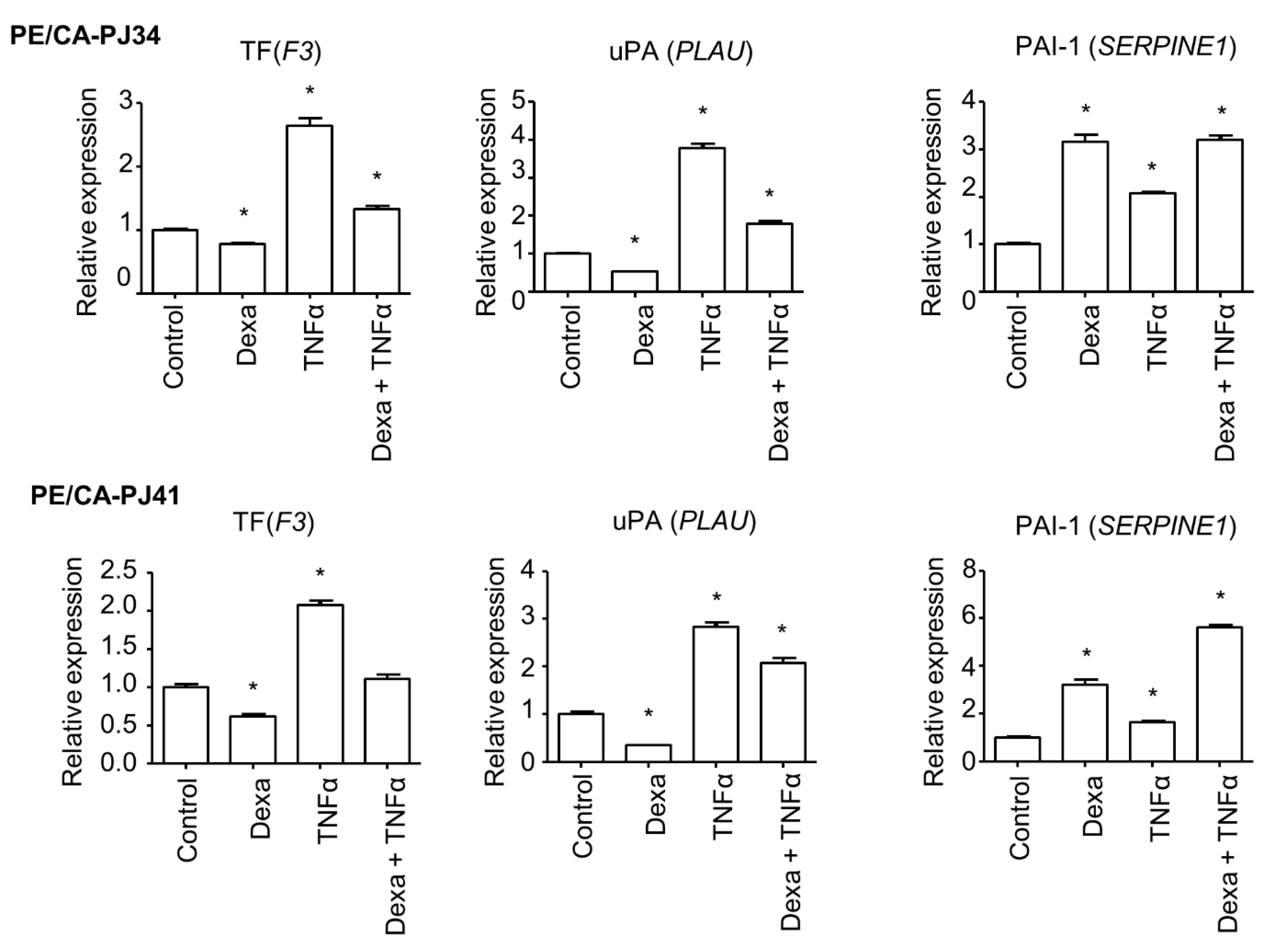 Cancers 15 01531 g002 Cancers 15 01531 g002