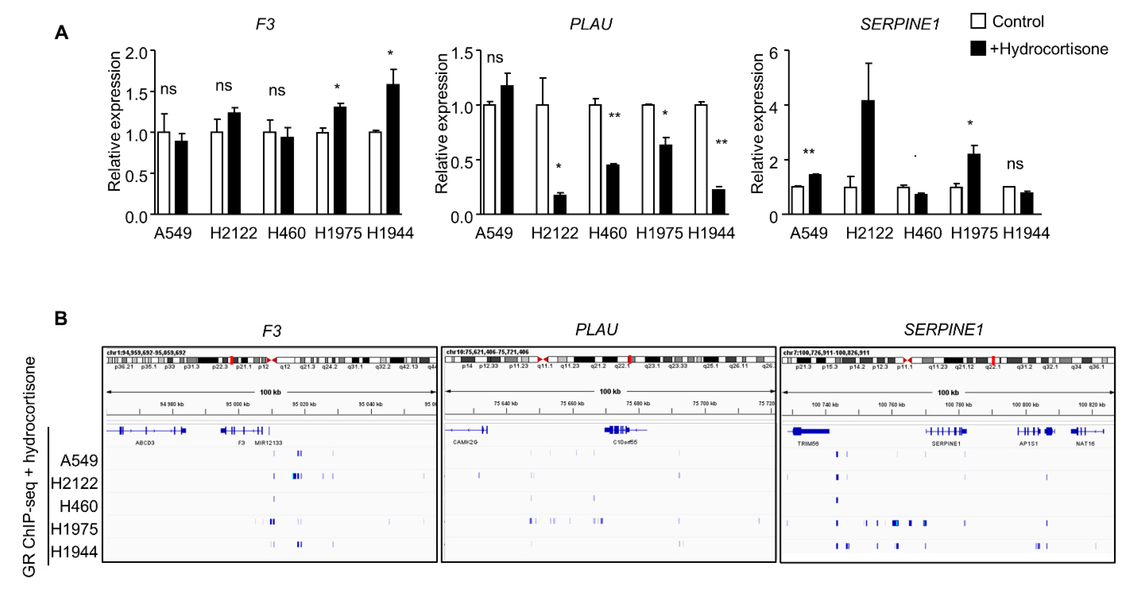 Cancers 15 01531 g004 Cancers 15 01531 g004