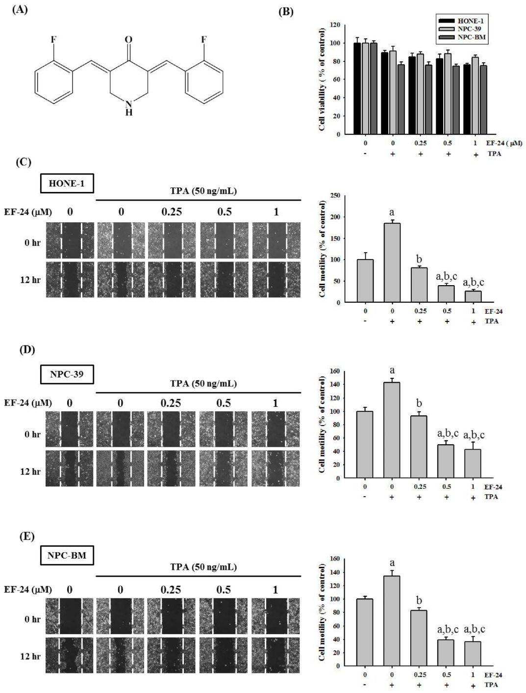 Cancers 15 01552 g001 Cancers 15 01552 g001