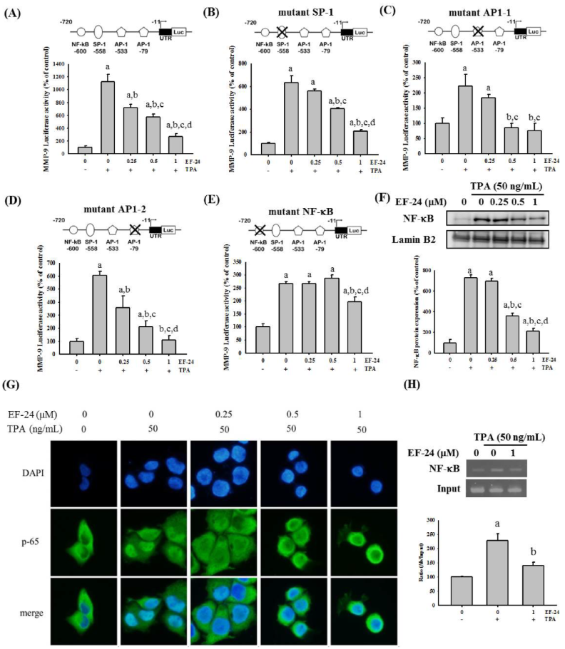 Cancers 15 01552 g004 Cancers 15 01552 g004
