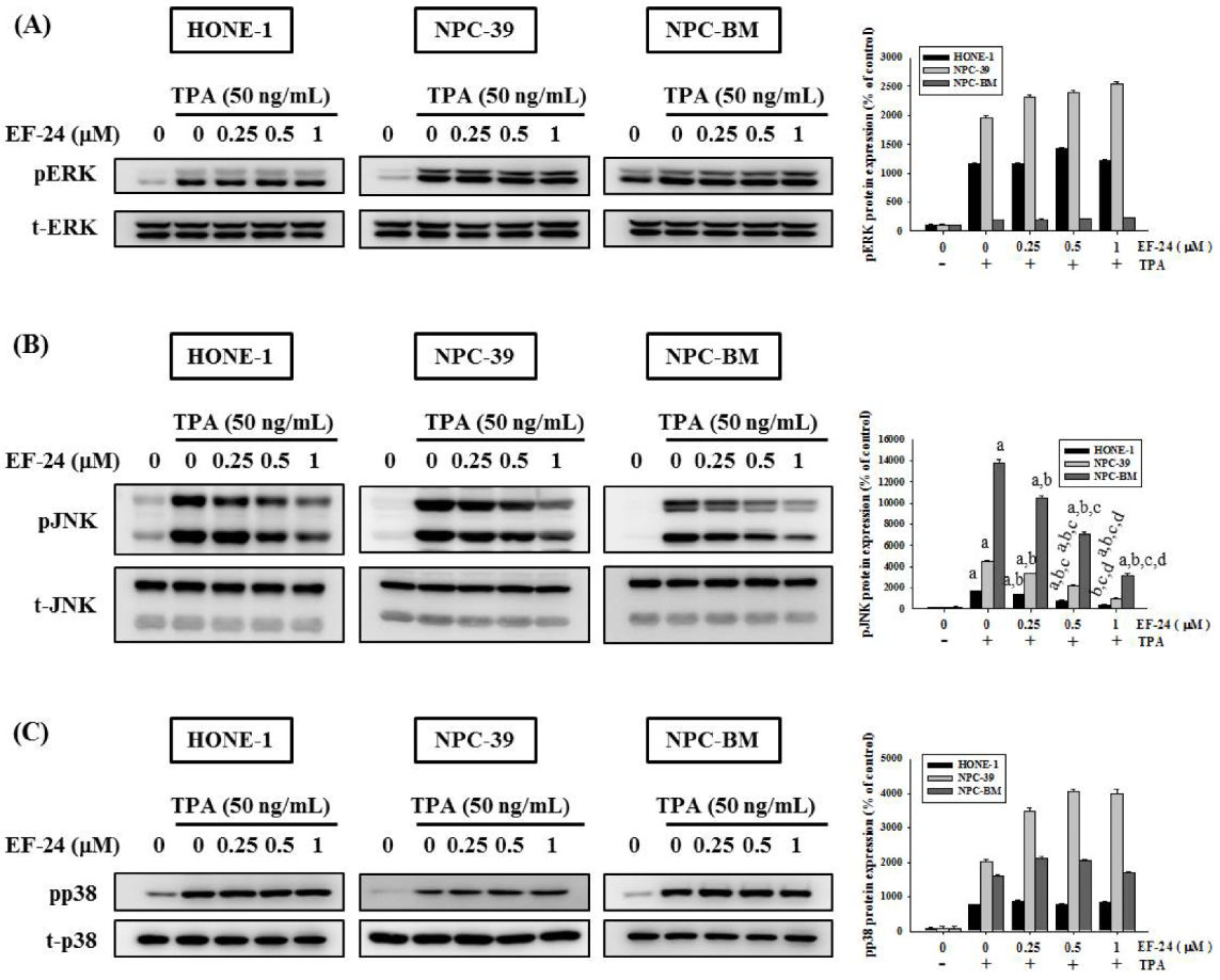 Cancers 15 01552 g005 Cancers 15 01552 g005