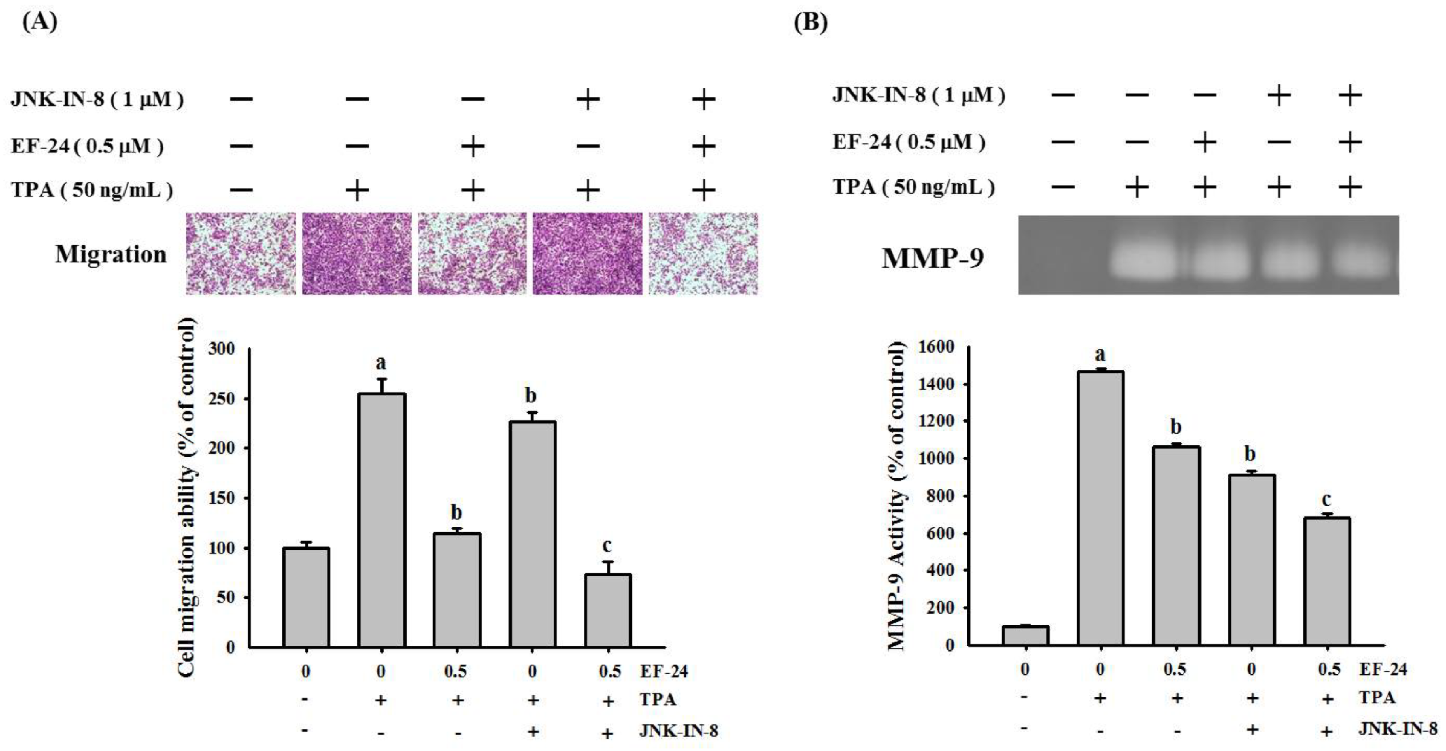 Cancers 15 01552 g006 Cancers 15 01552 g006