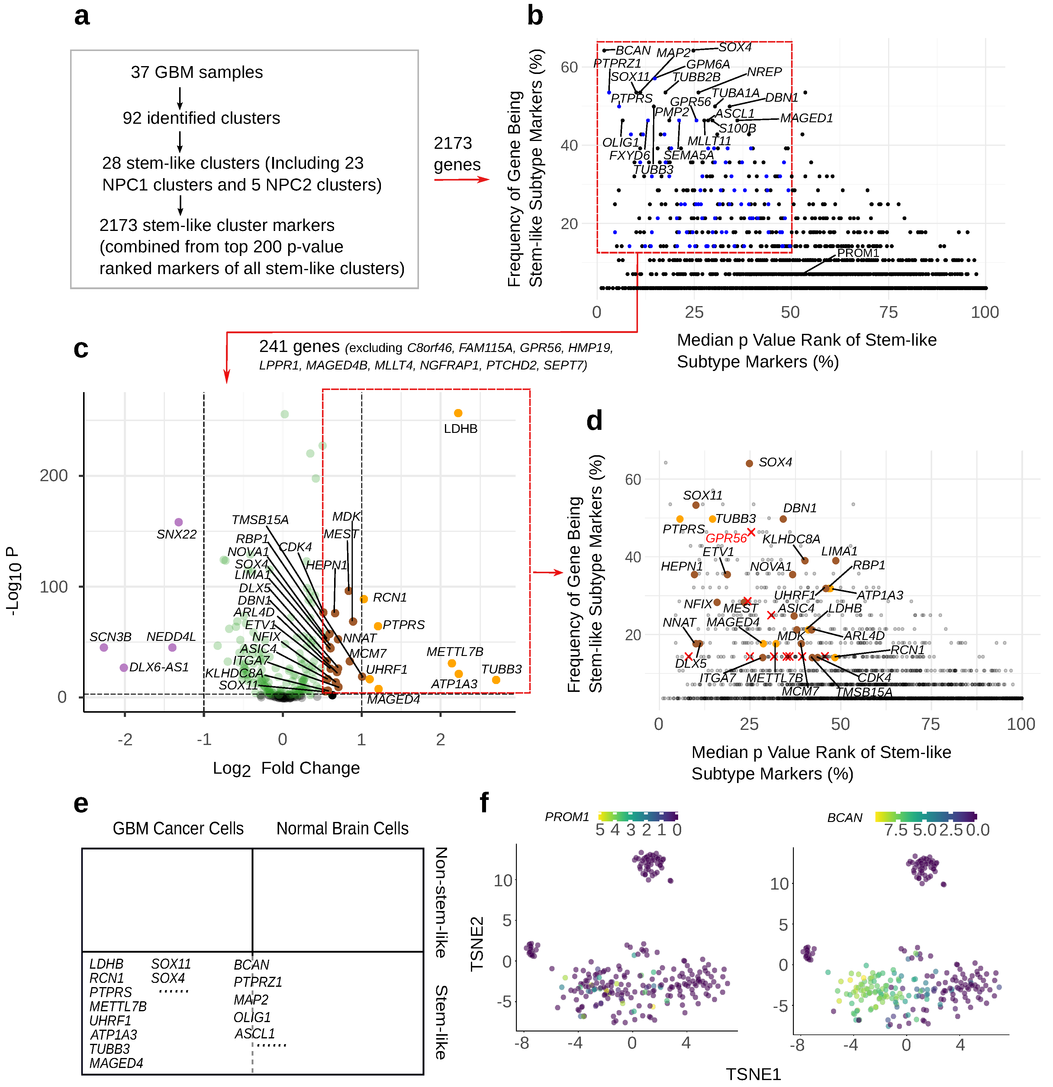 Cancers 15 01557 g002