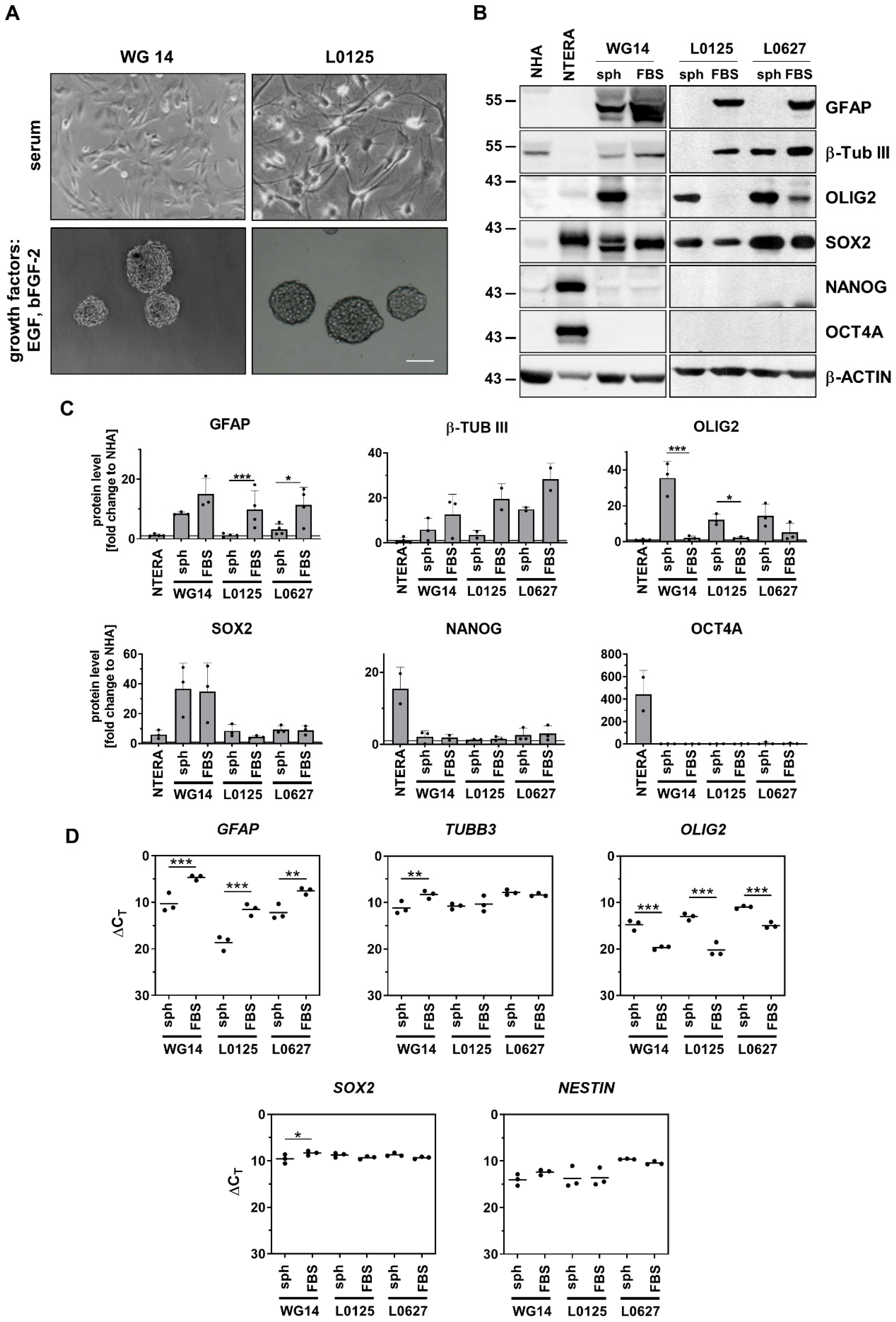 Cancers 15 01562 g003