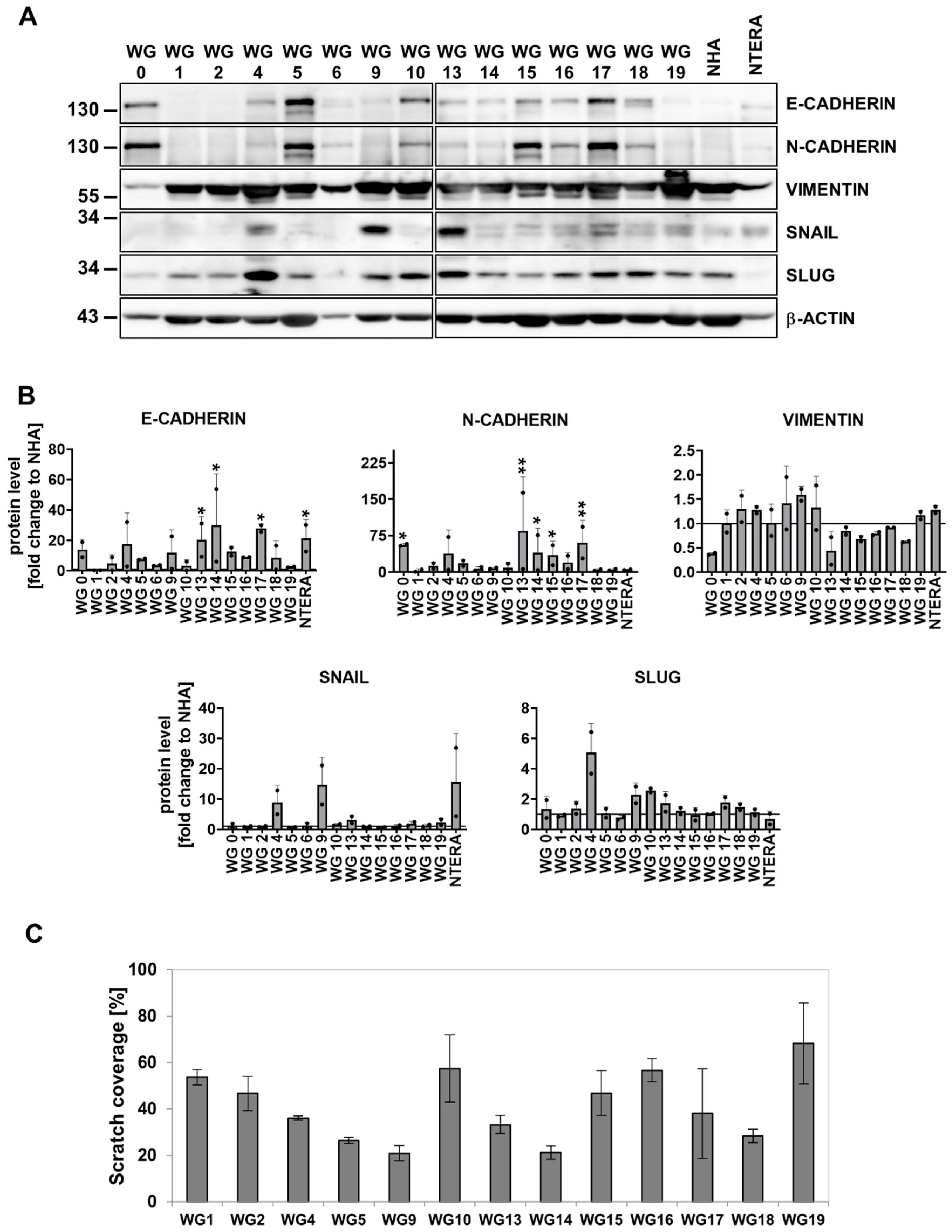 Cancers 15 01562 g004