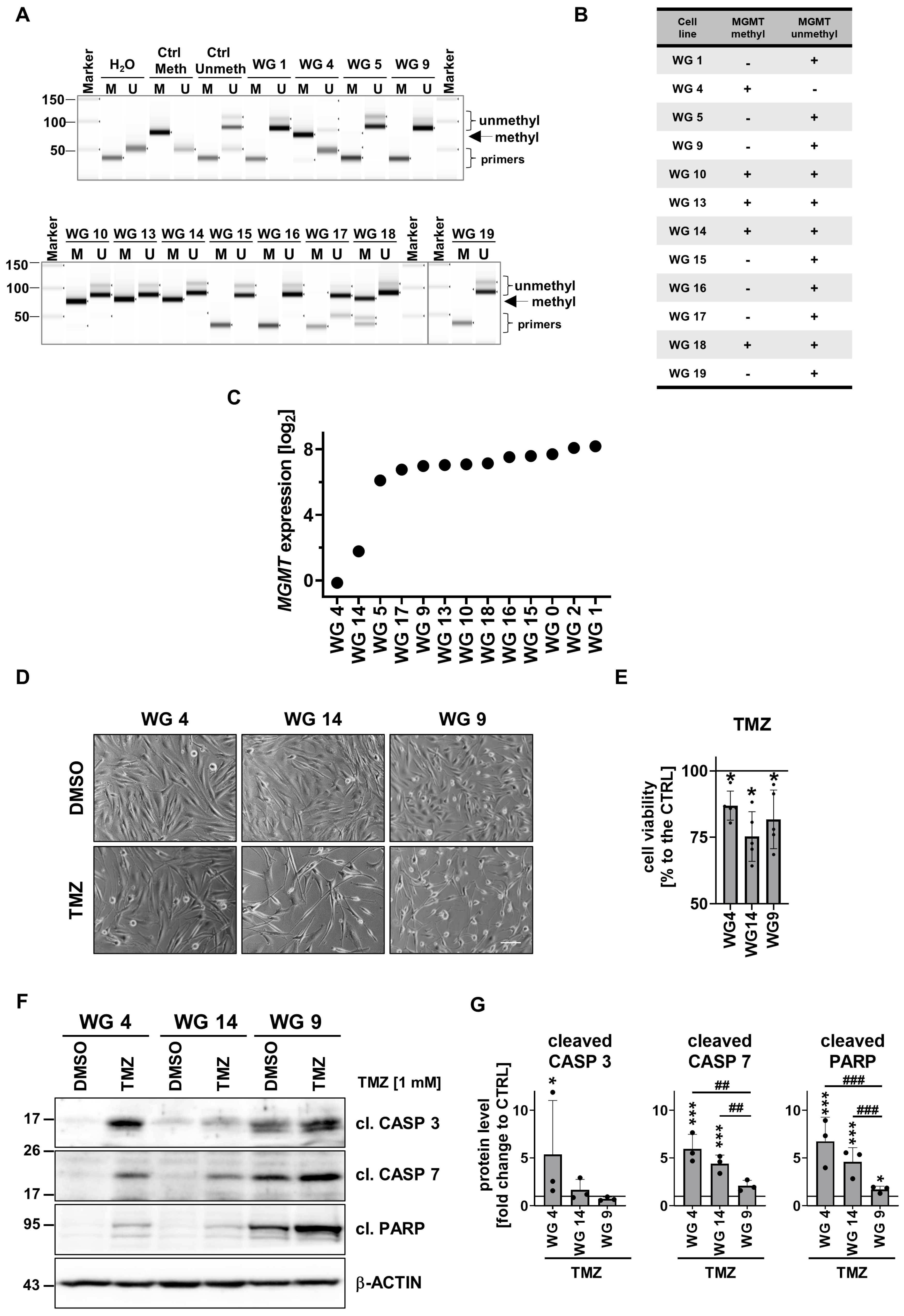 Cancers 15 01562 g005