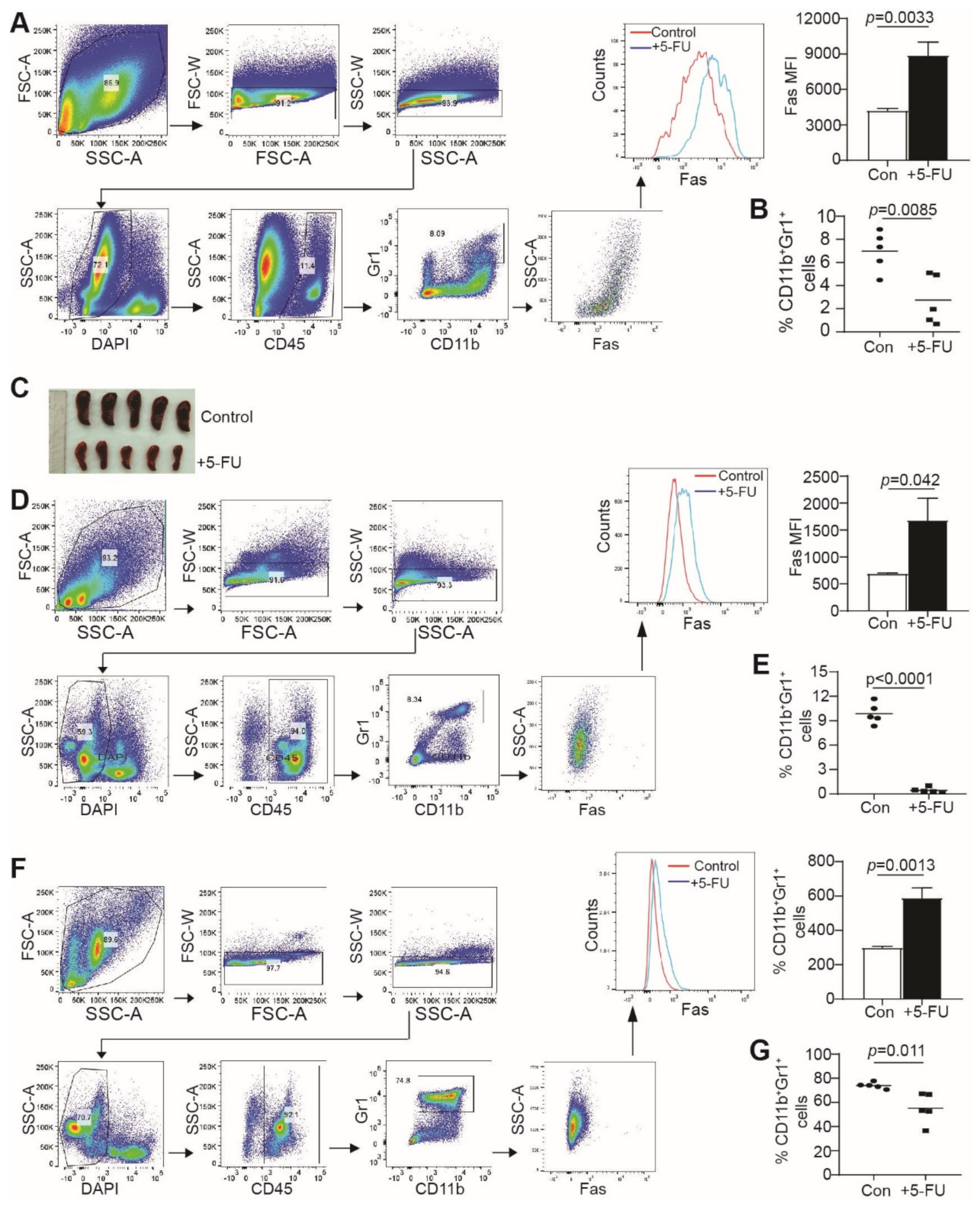 Cancers 15 01563 g003