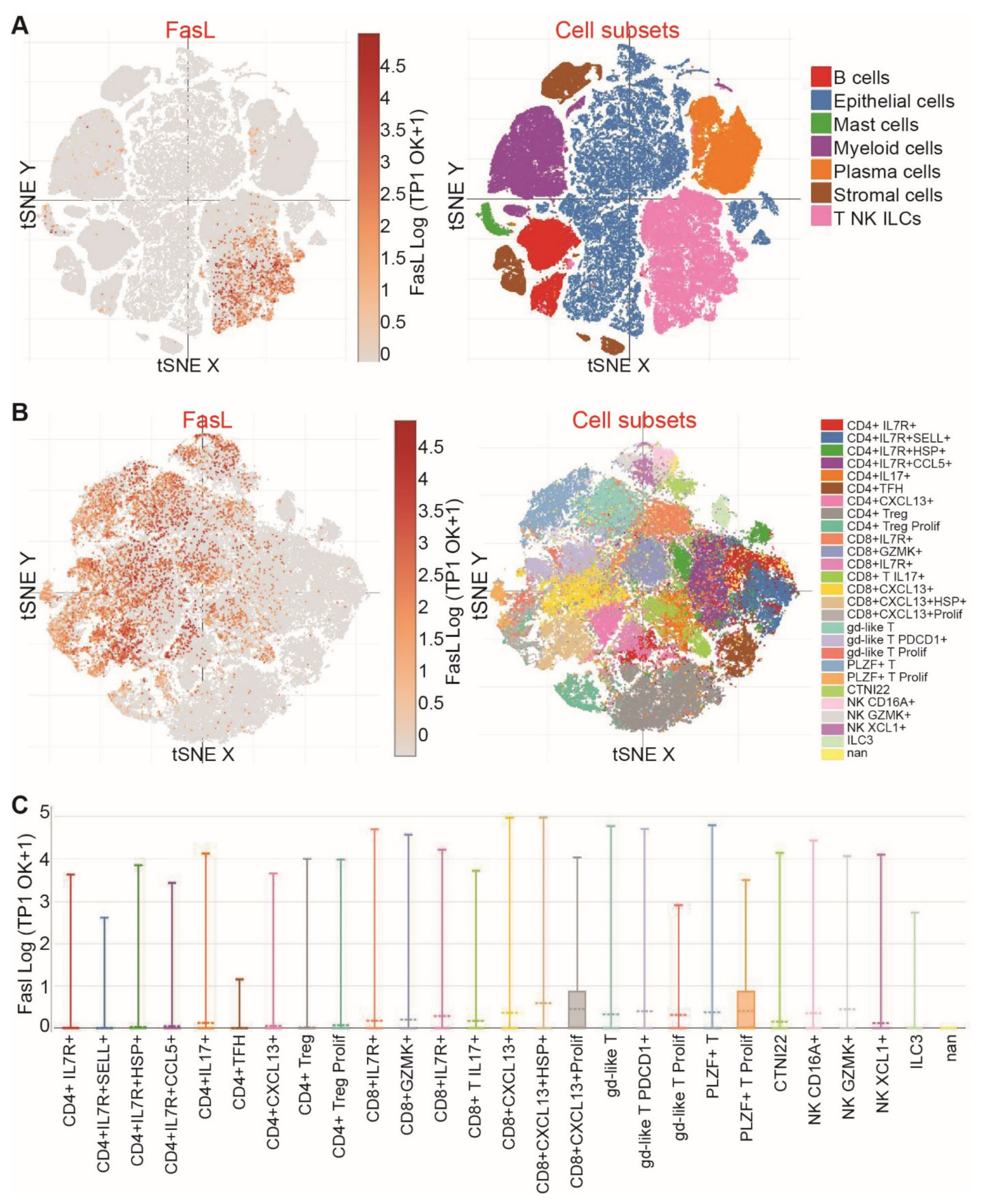 Cancers 15 01563 g006