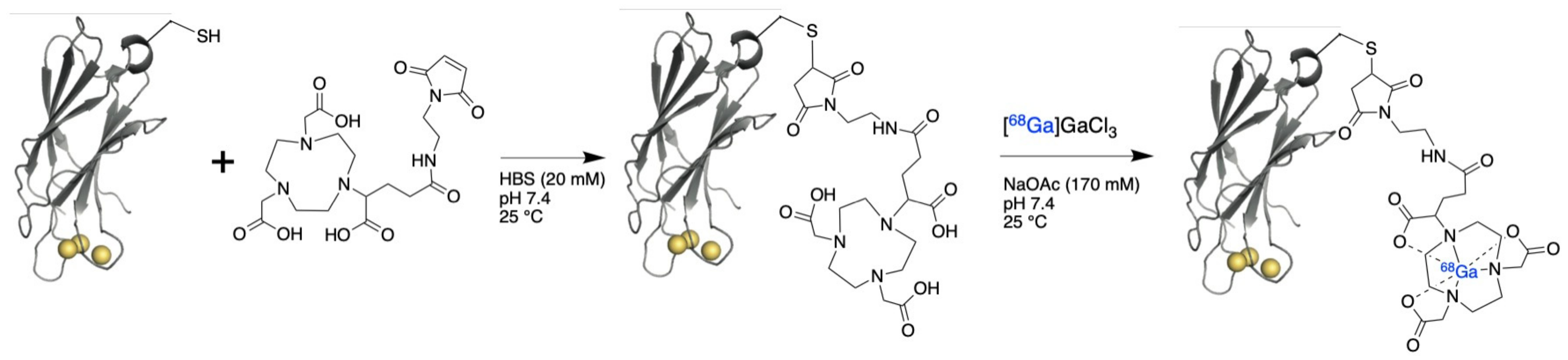 Cancers 15 01564 g001