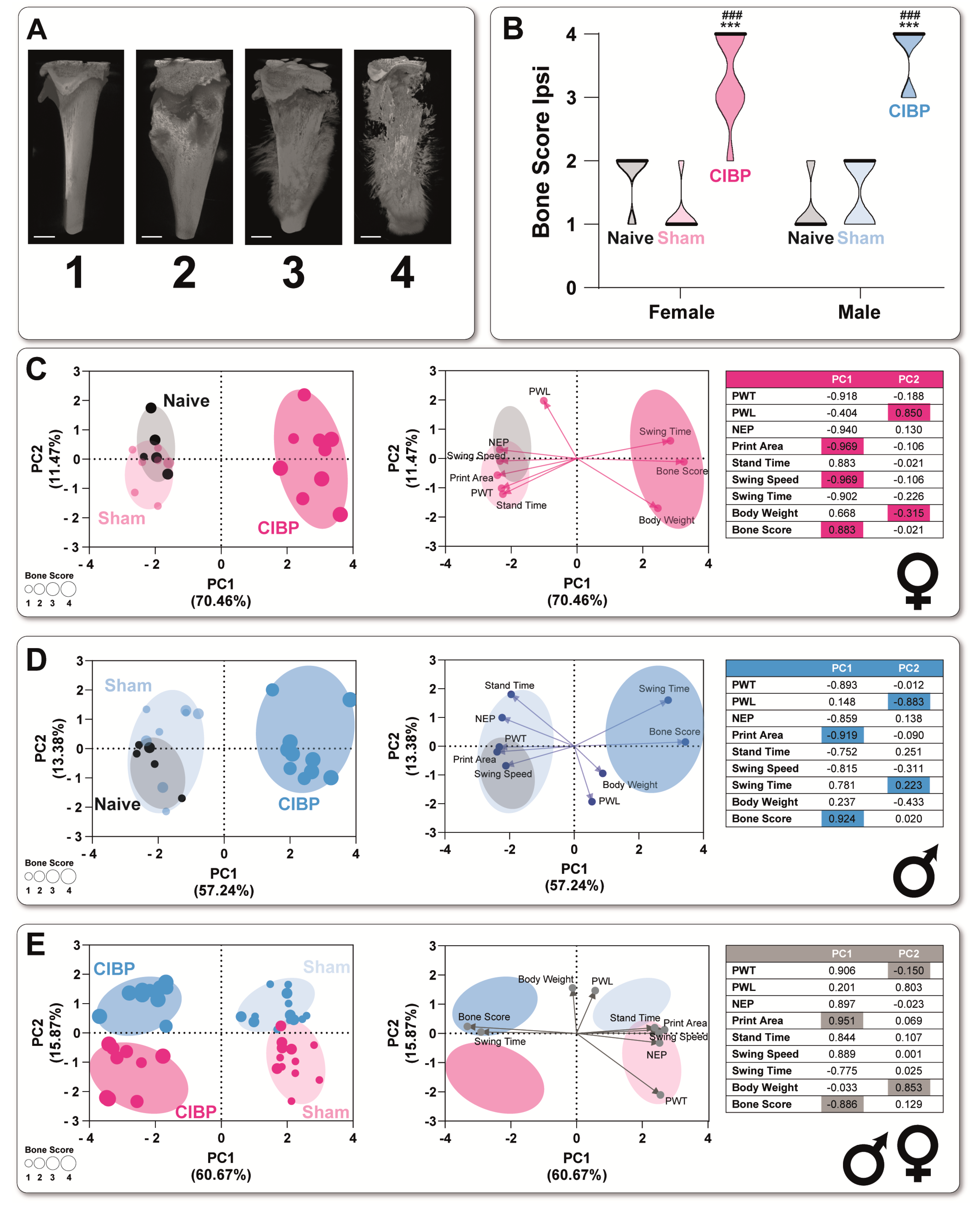 Cancers 15 01565 g003 Cancers 15 01565 g003
