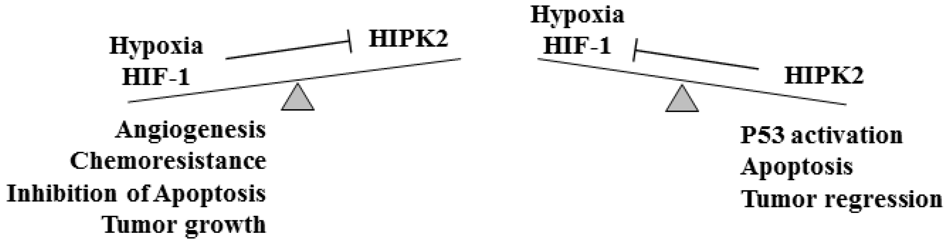 Cancers 15 01566 g001 Cancers 15 01566 g001