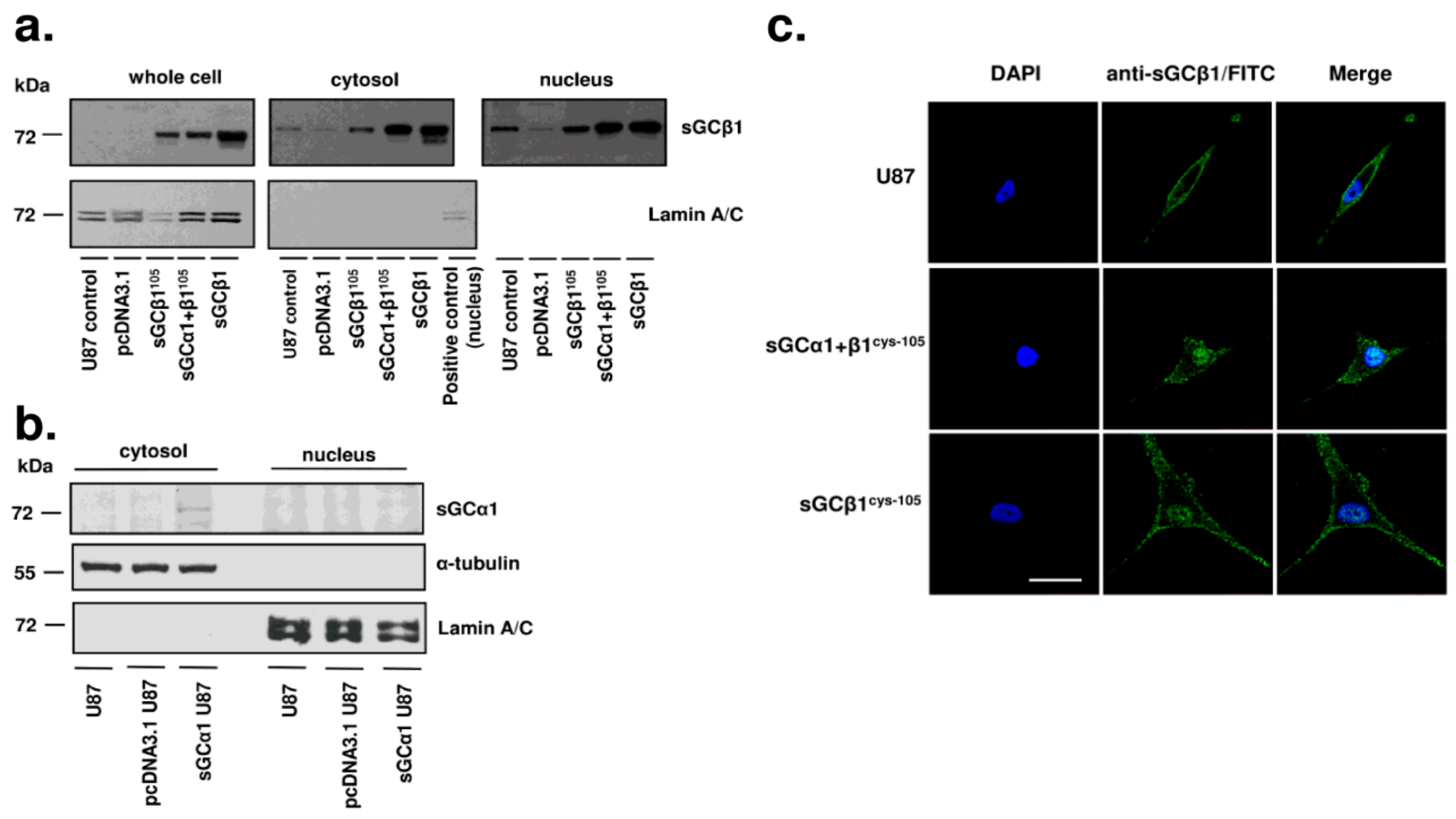 Cancers 15 01567 g004 Cancers 15 01567 g004