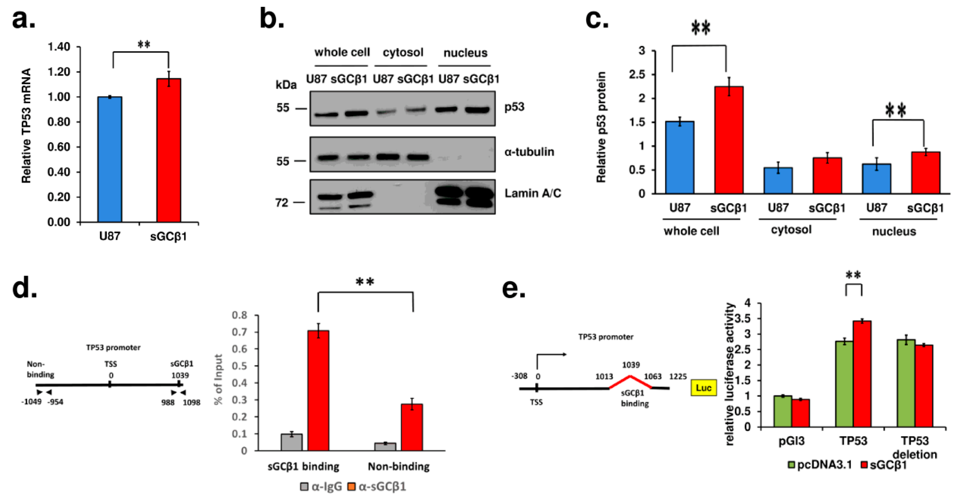 Cancers 15 01567 g005 Cancers 15 01567 g005