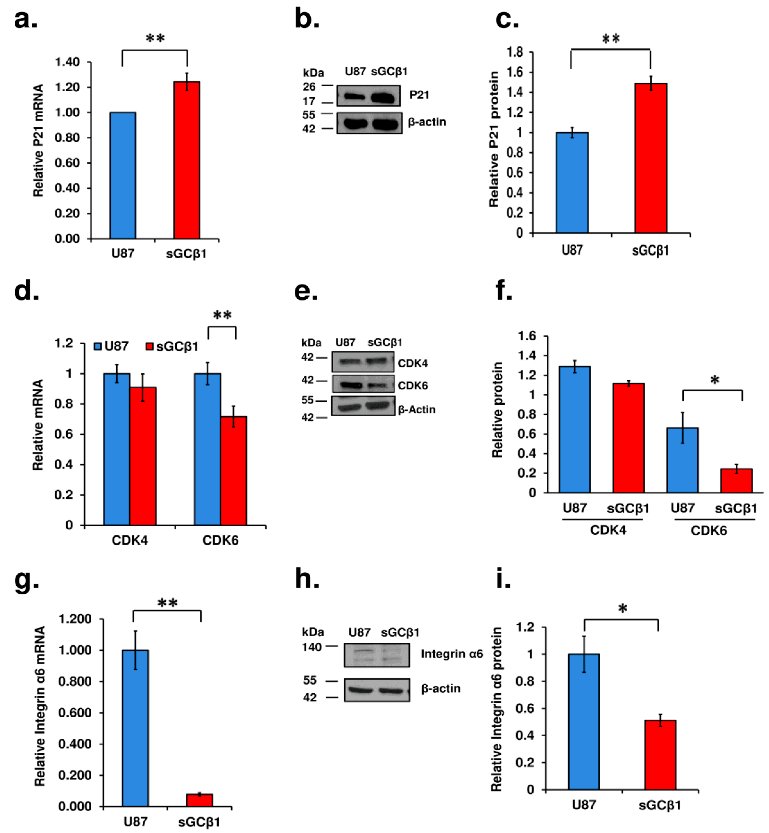 Cancers 15 01567 g006 Cancers 15 01567 g006
