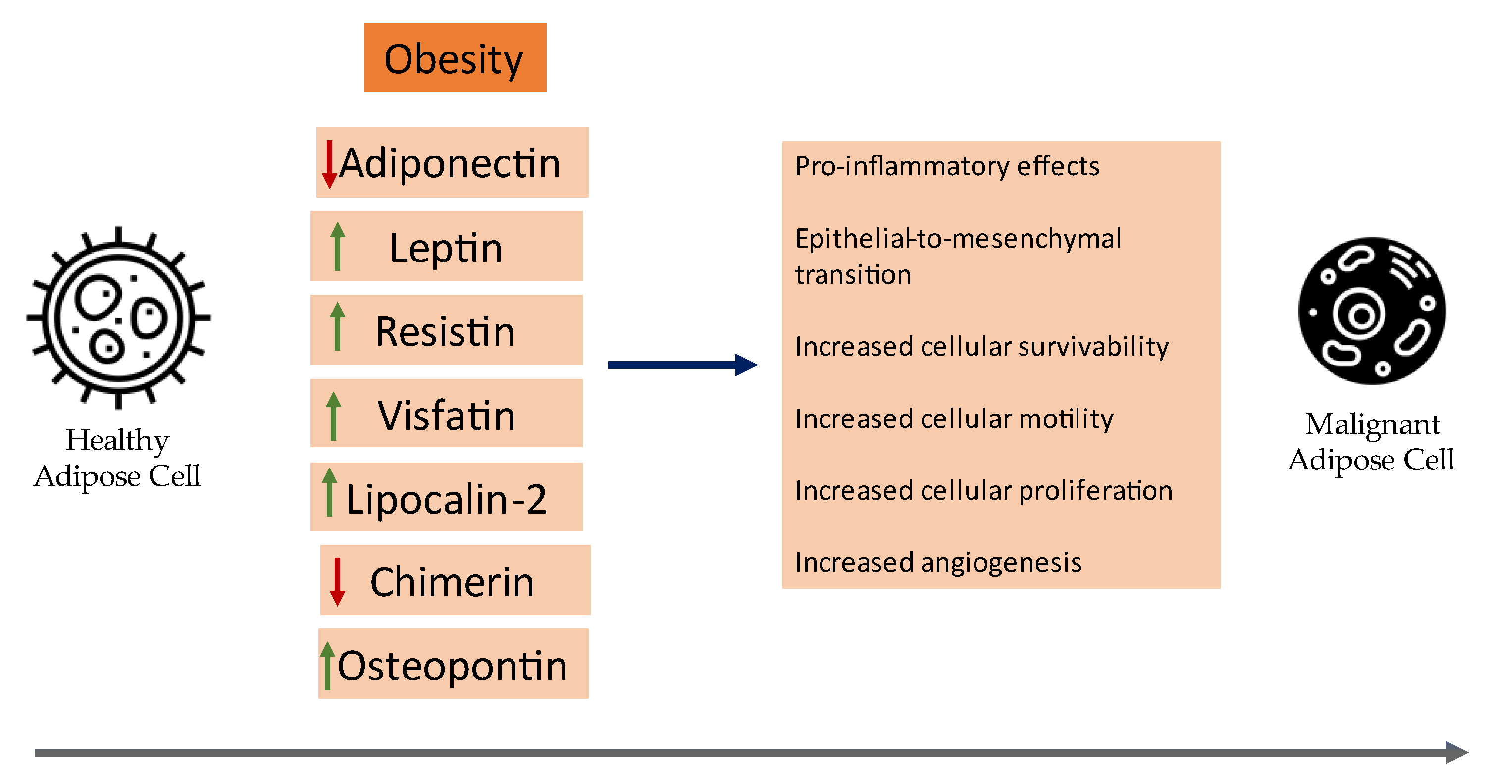 Cancers 15 01572 g001 Cancers 15 01572 g001