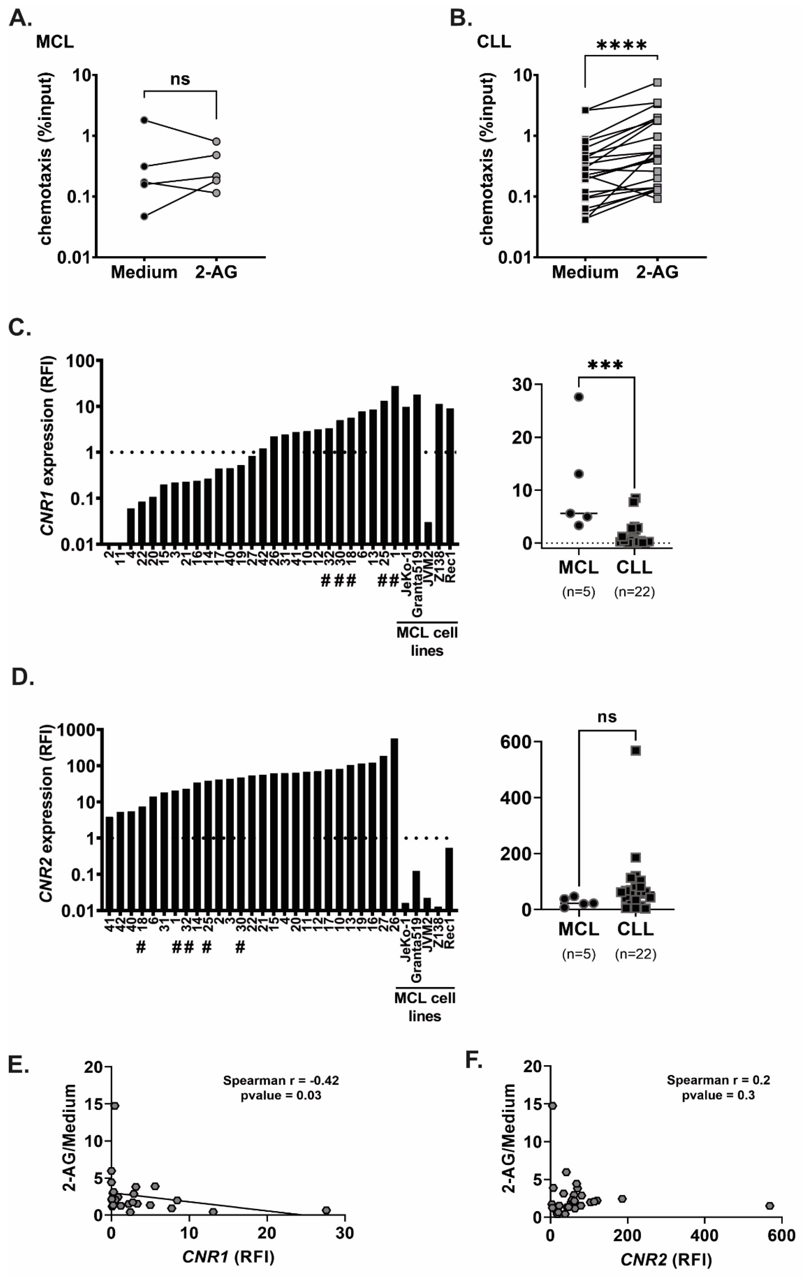 Cancers 15 01585 g001 Cancers 15 01585 g001