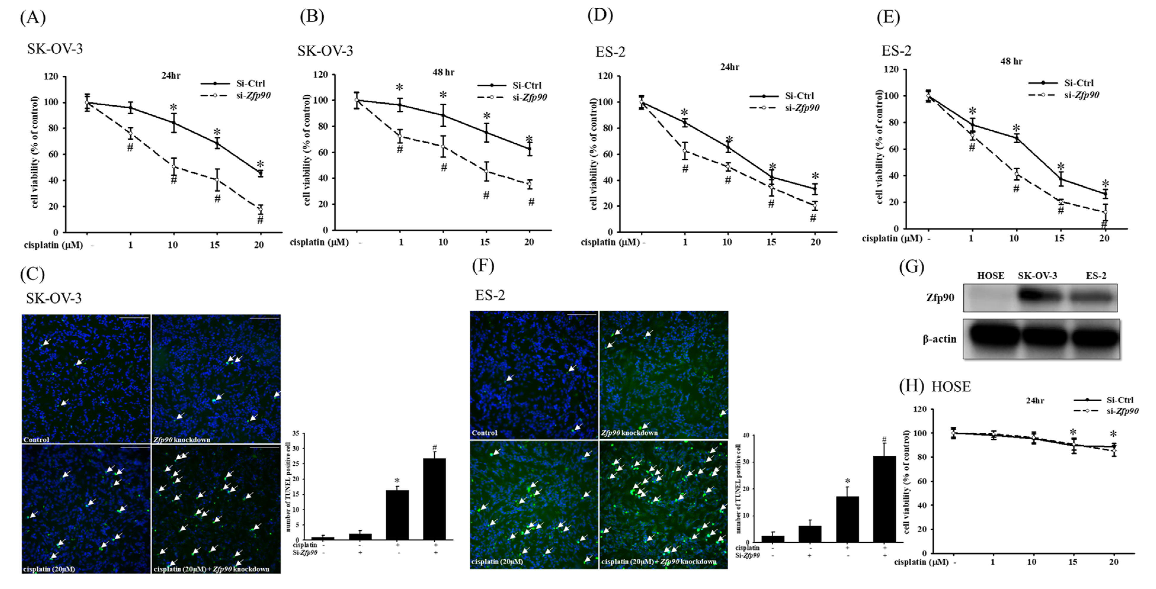 Cancers 15 01586 g001 Cancers 15 01586 g001