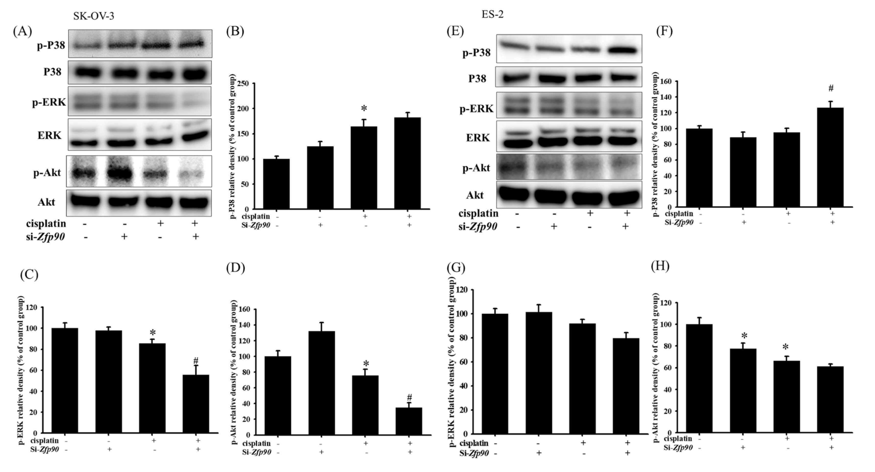 Cancers 15 01586 g002 Cancers 15 01586 g002