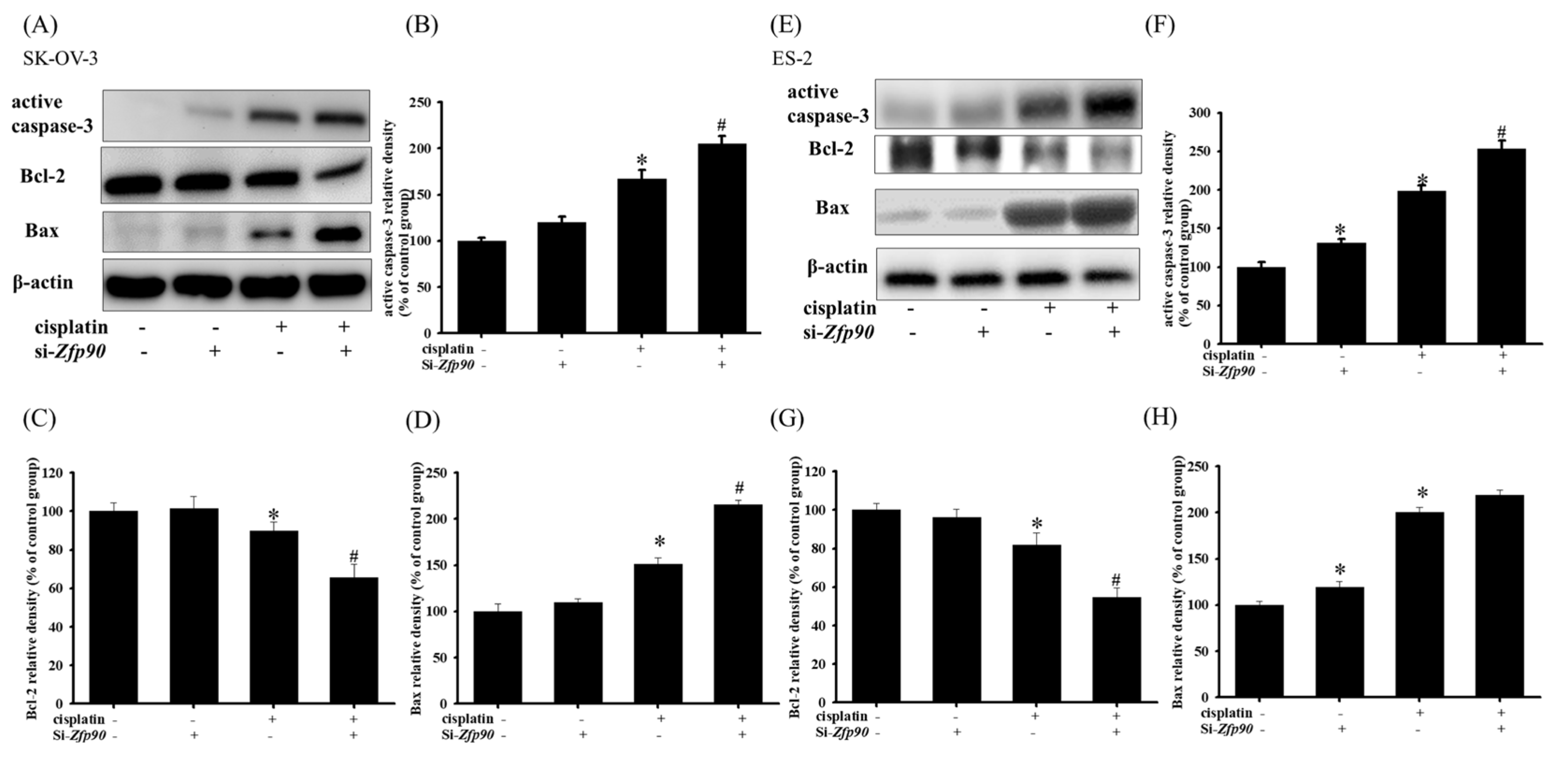 Cancers 15 01586 g003 Cancers 15 01586 g003