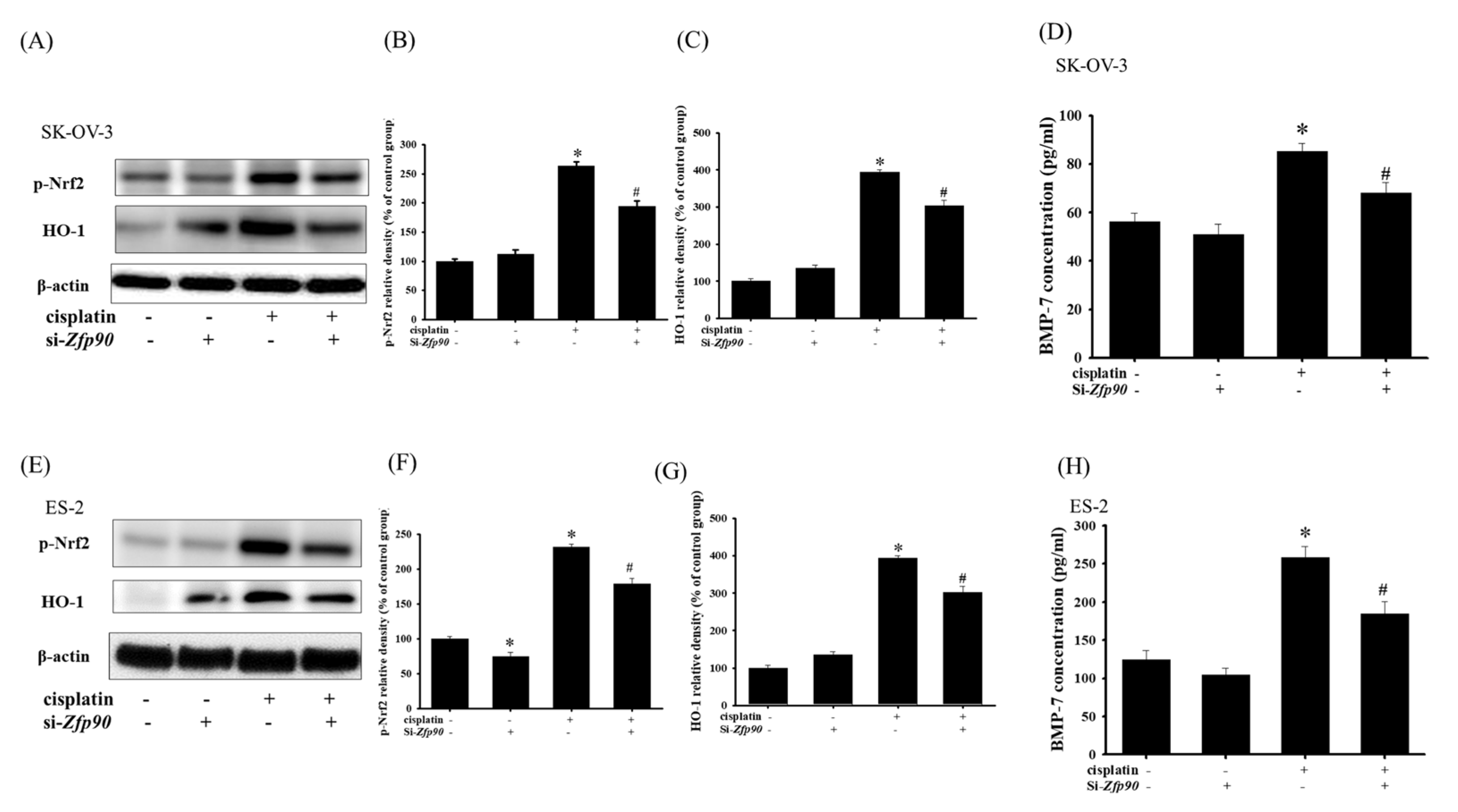 Cancers 15 01586 g005 Cancers 15 01586 g005