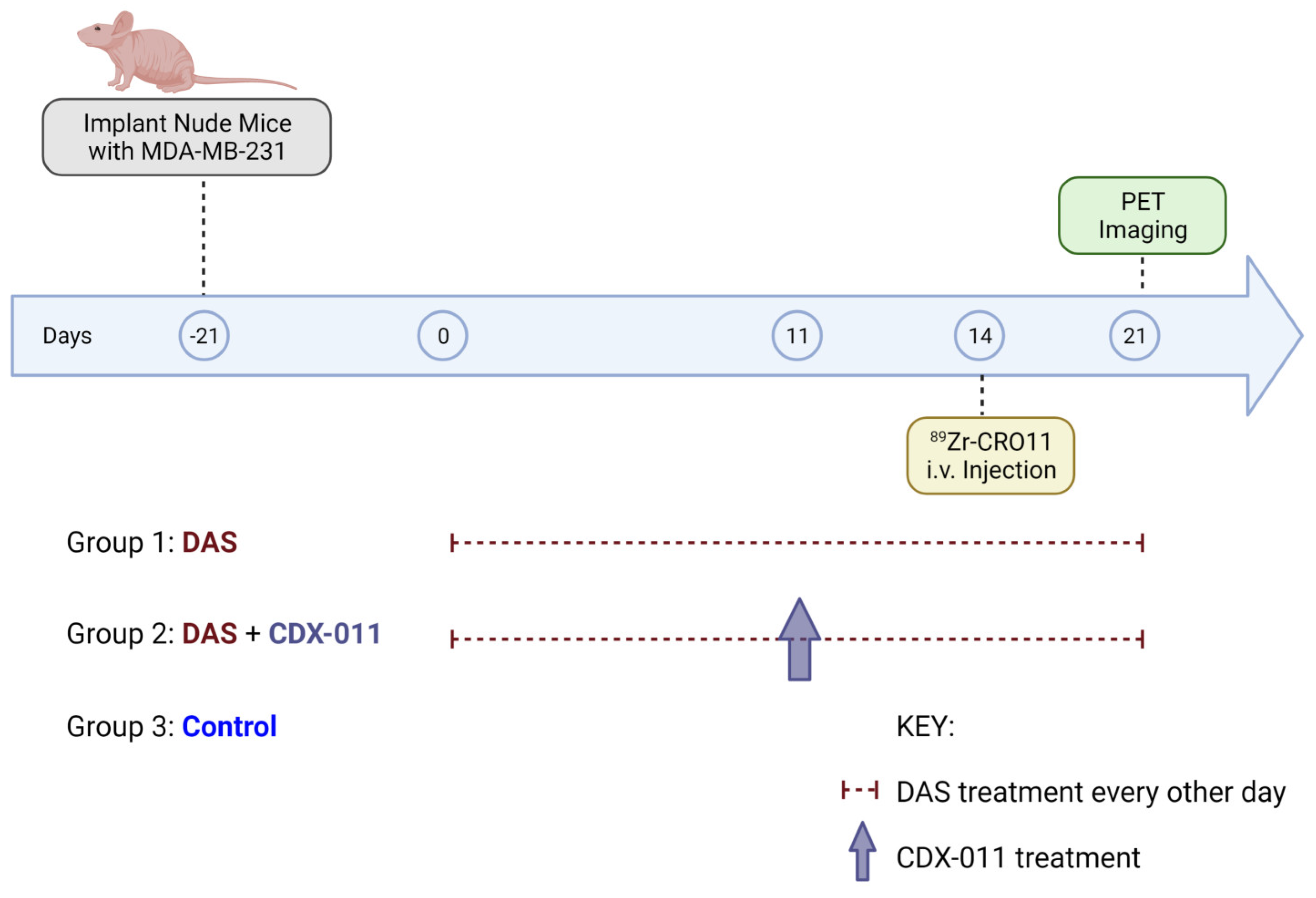 Cancers 15 01589 g002