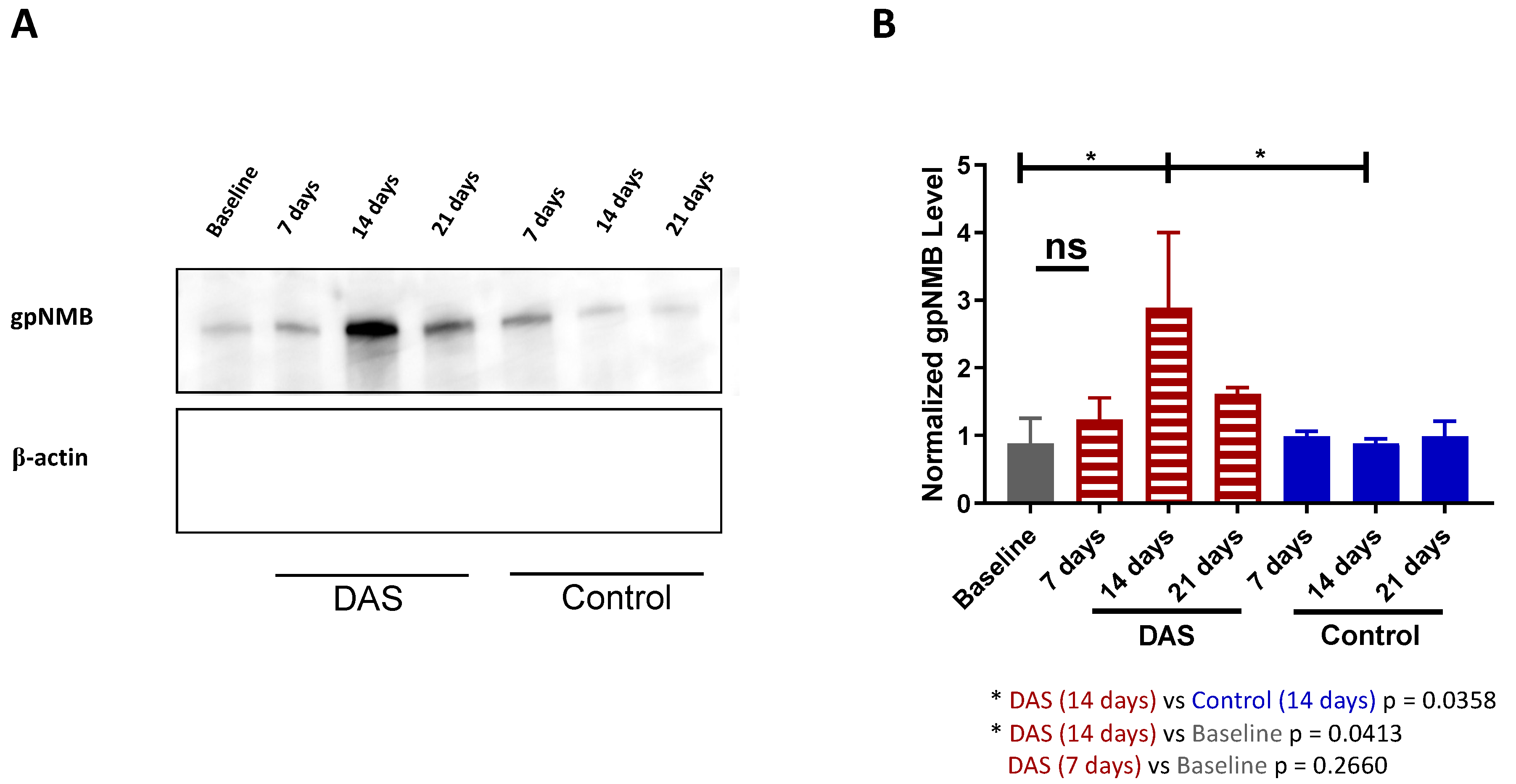 Cancers 15 01589 g004