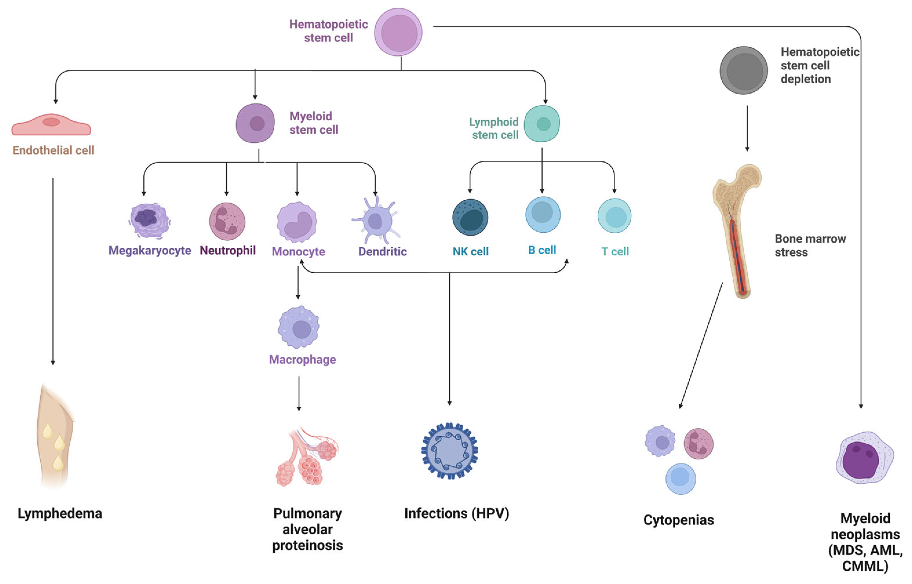 Cancers 15 01590 g002