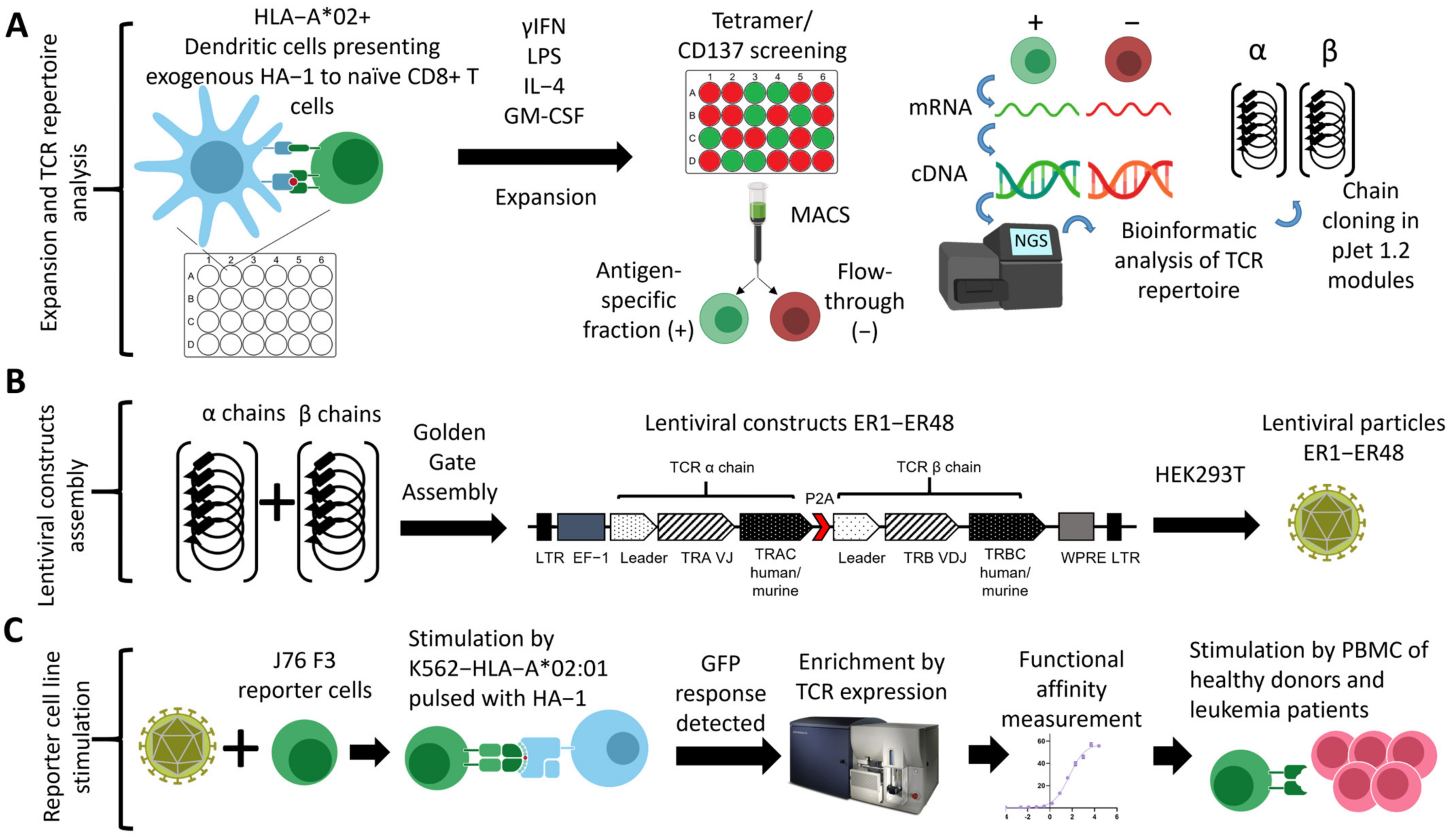 Cancers 15 01592 g001