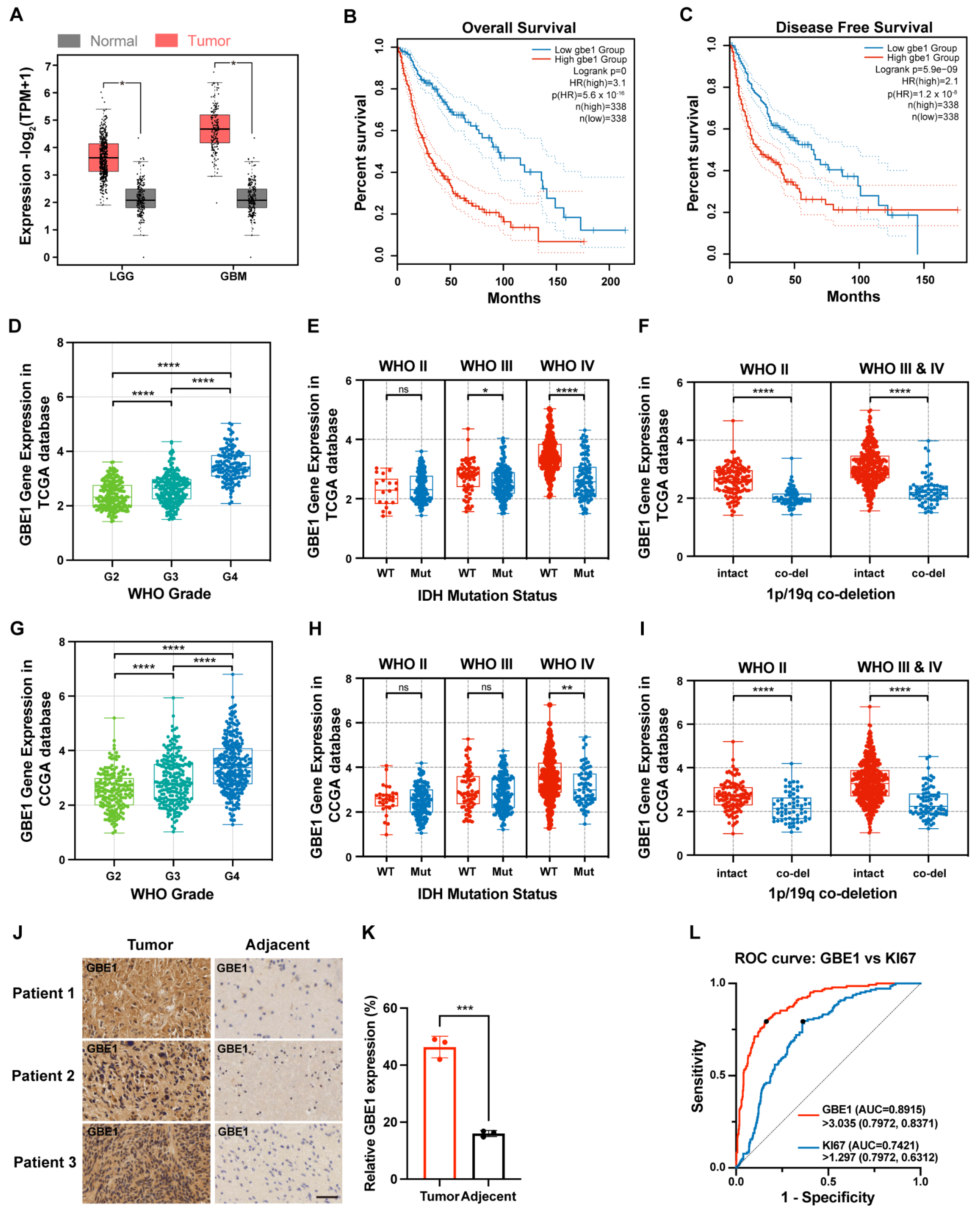Cancers 15 01594 g001 Cancers 15 01594 g001