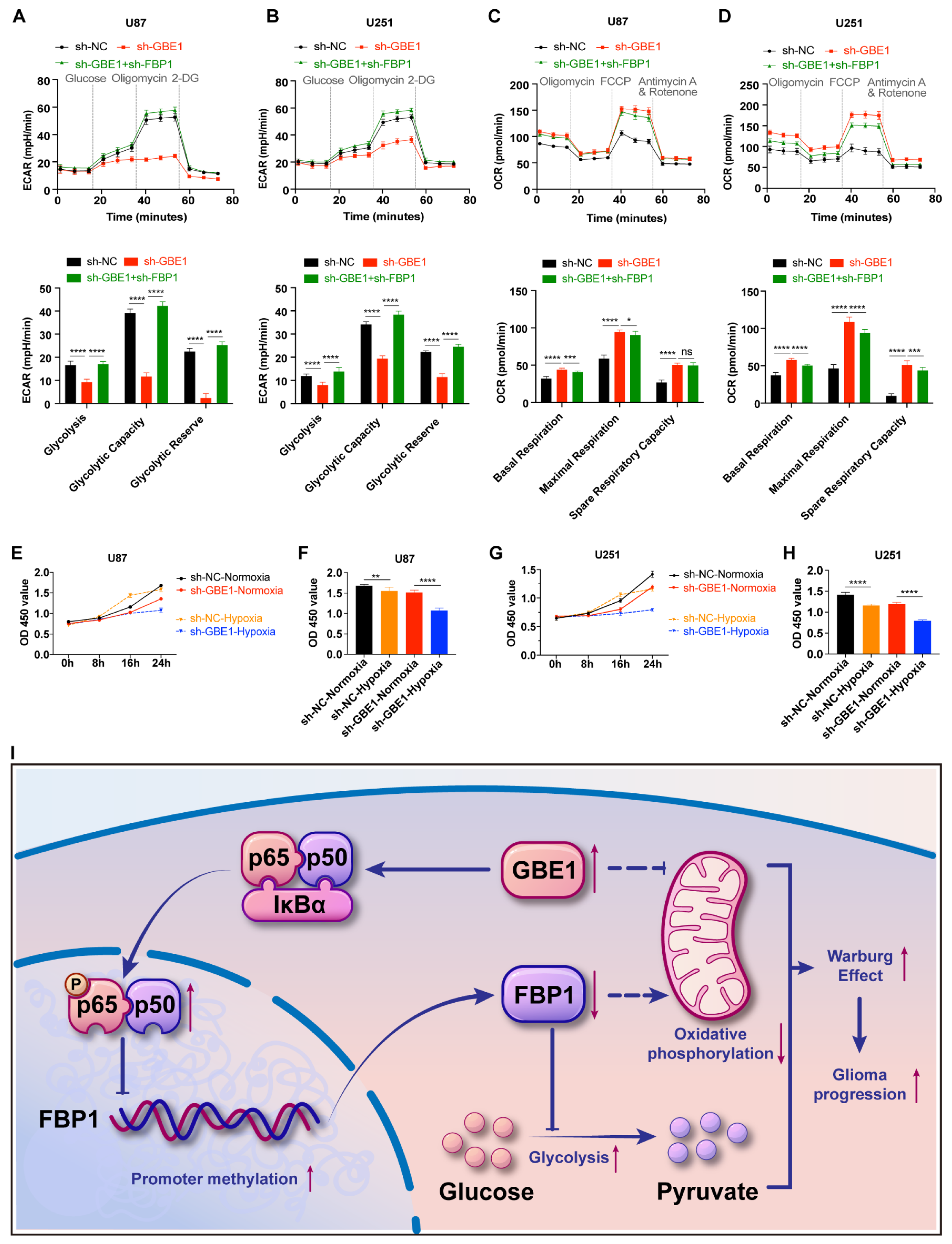 Cancers 15 01594 g007 Cancers 15 01594 g007