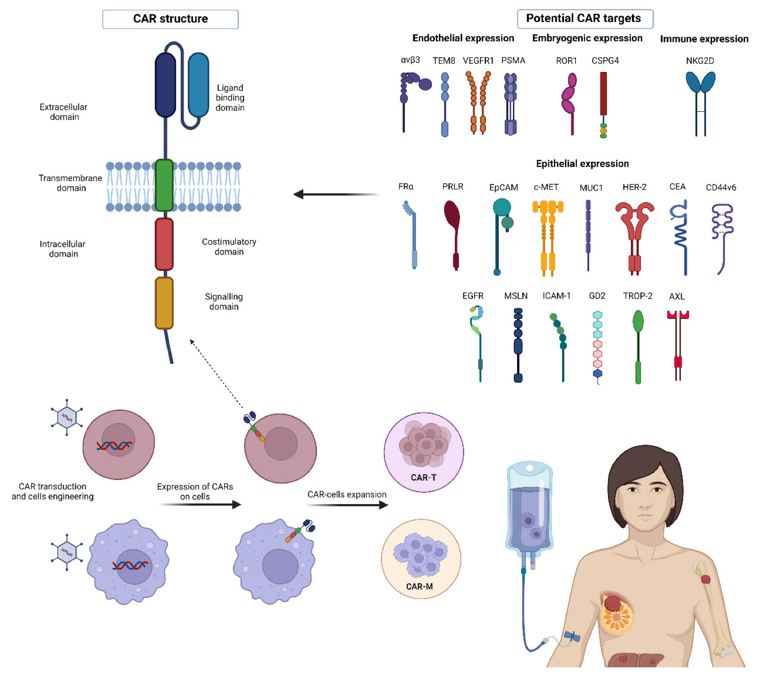Cancers 15 01597 g001 Cancers 15 01597 g001