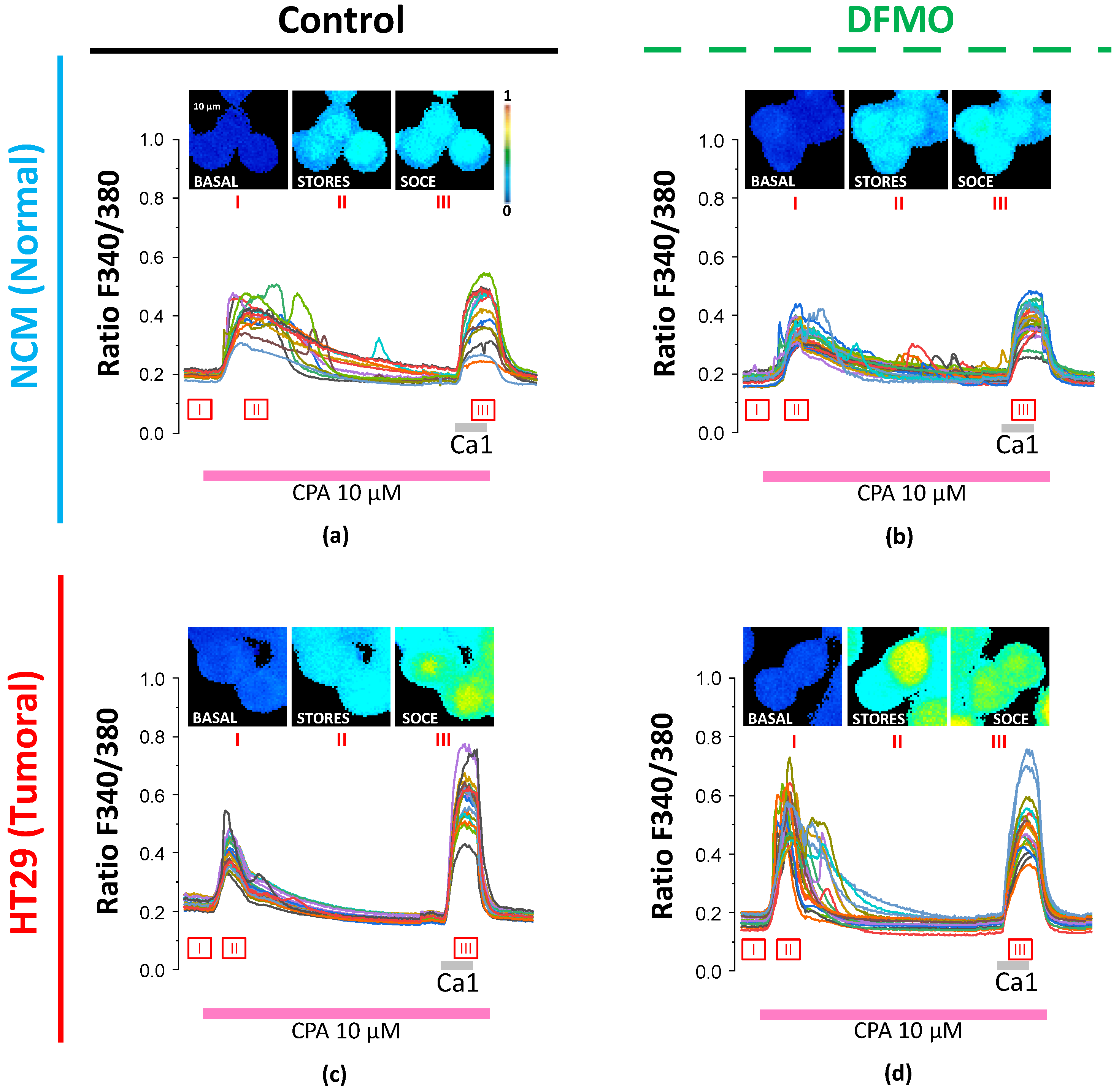 Cancers 15 01600 g003