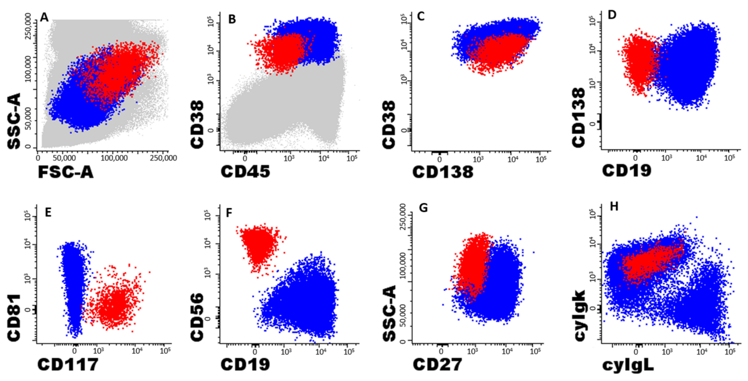 Cancers 15 01605 g001 Cancers 15 01605 g001
