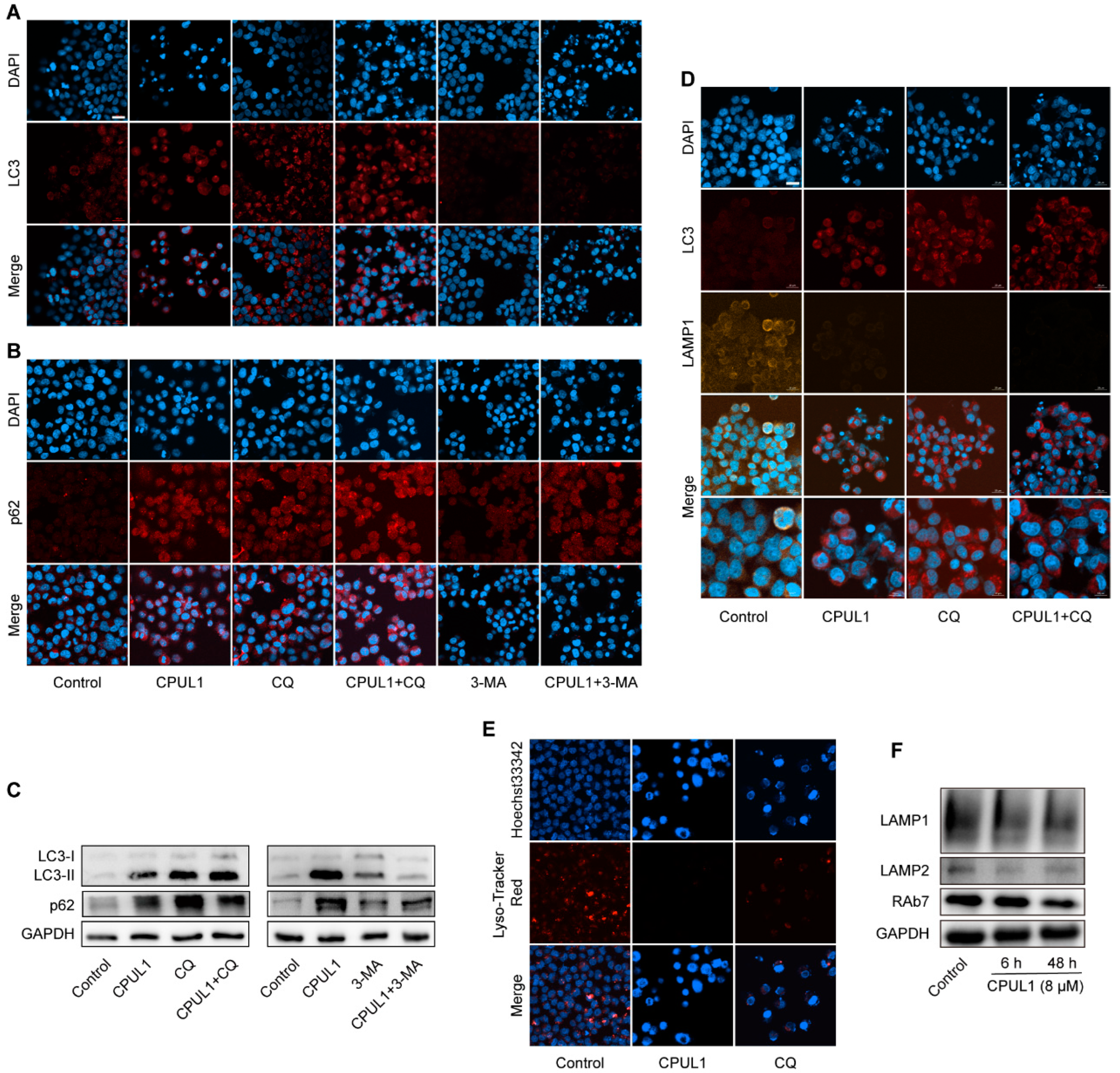 Cancers 15 01607 g009