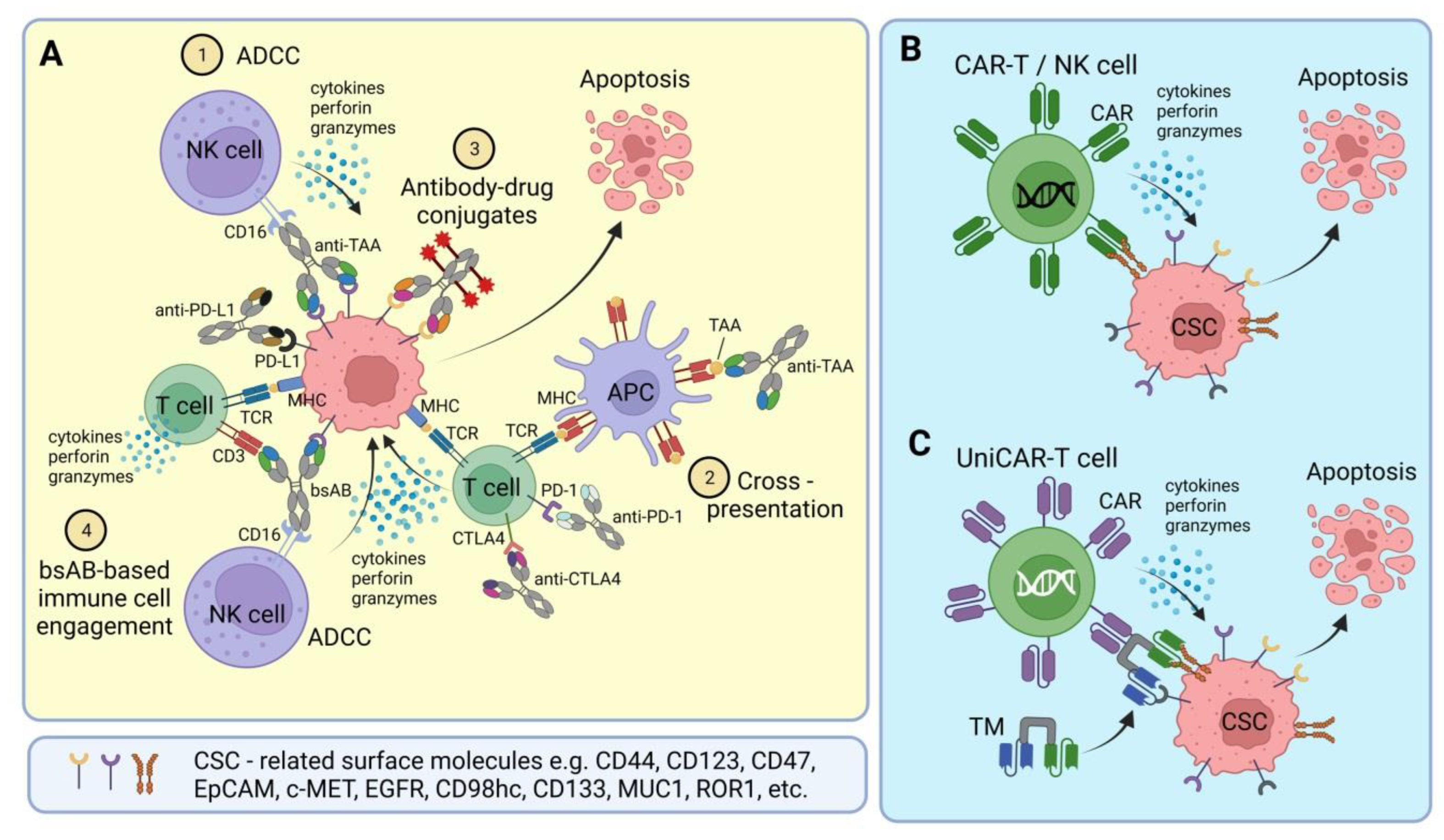 Cancers 15 01608 g001