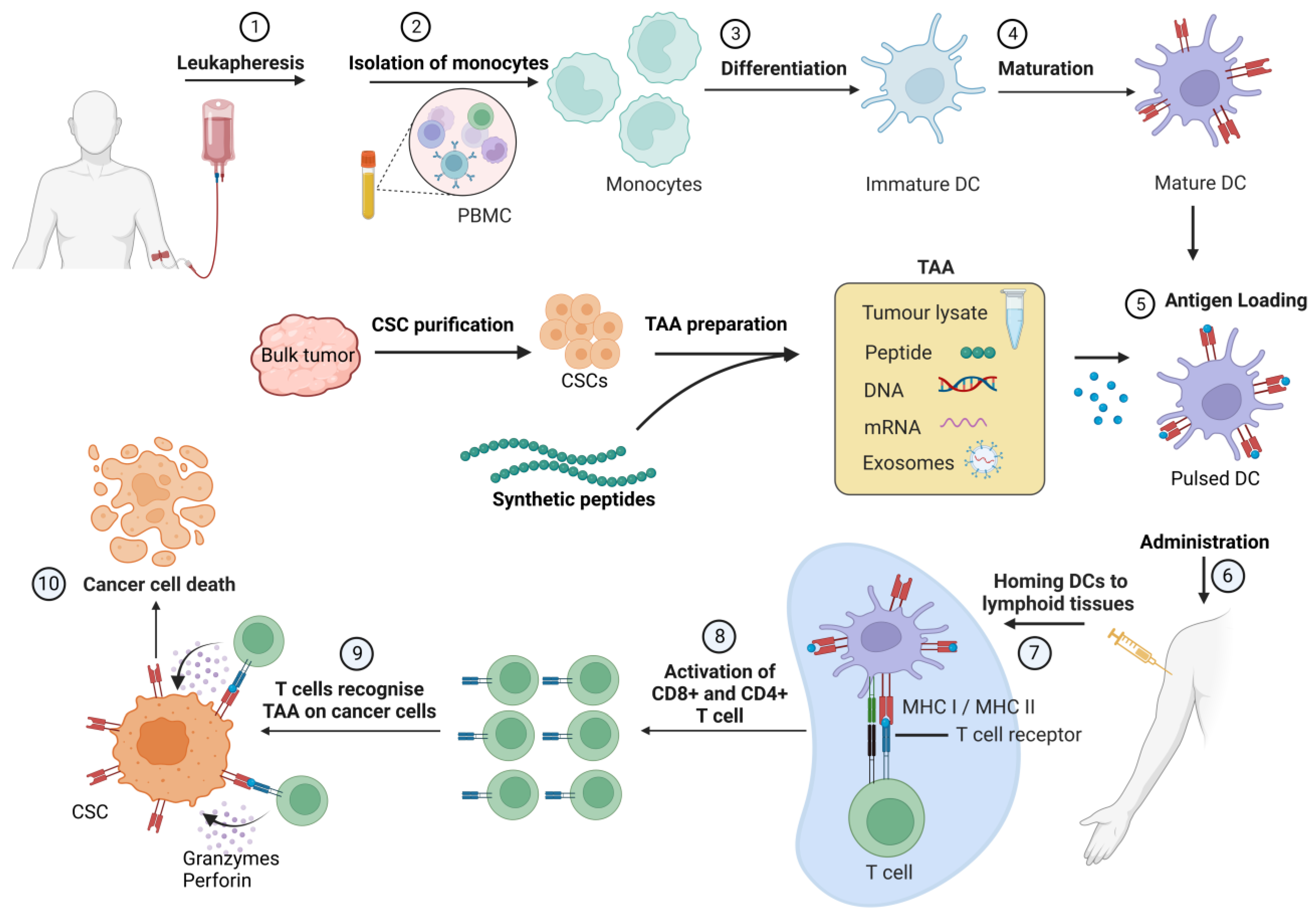 Cancers 15 01608 g003