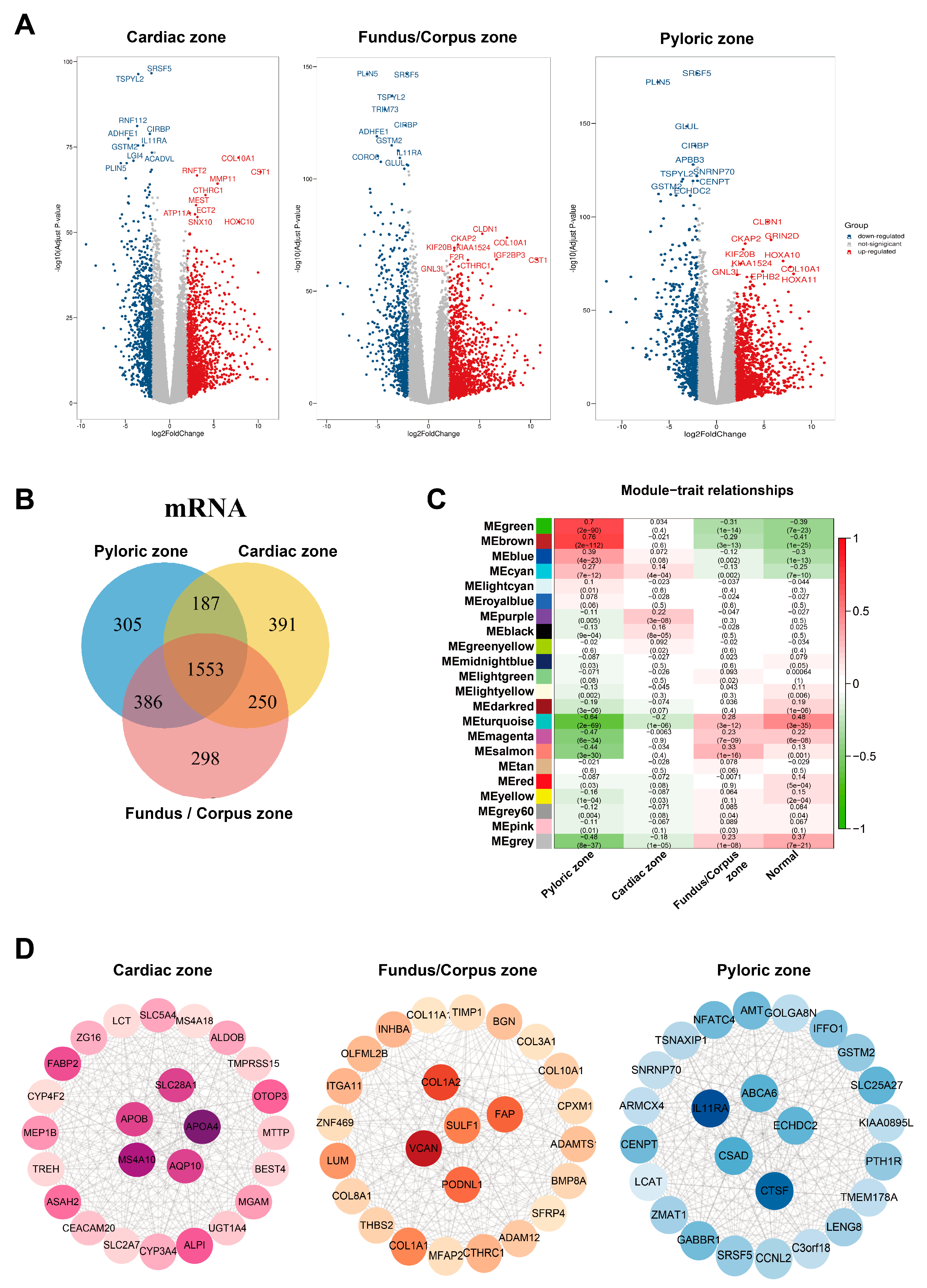 Cancers 15 01610 g002 Cancers 15 01610 g002